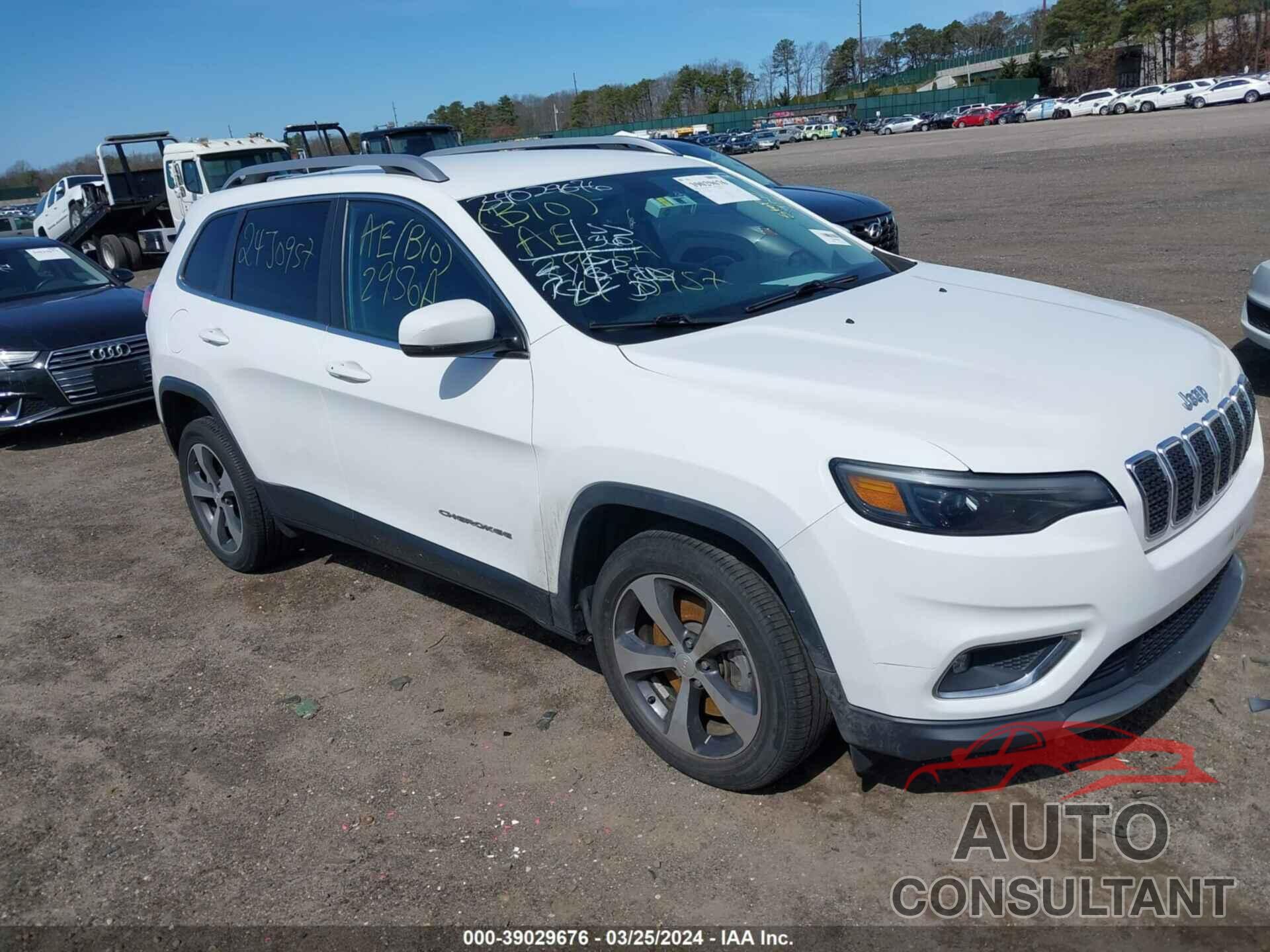 JEEP CHEROKEE 2019 - 1C4PJLDB3KD144193