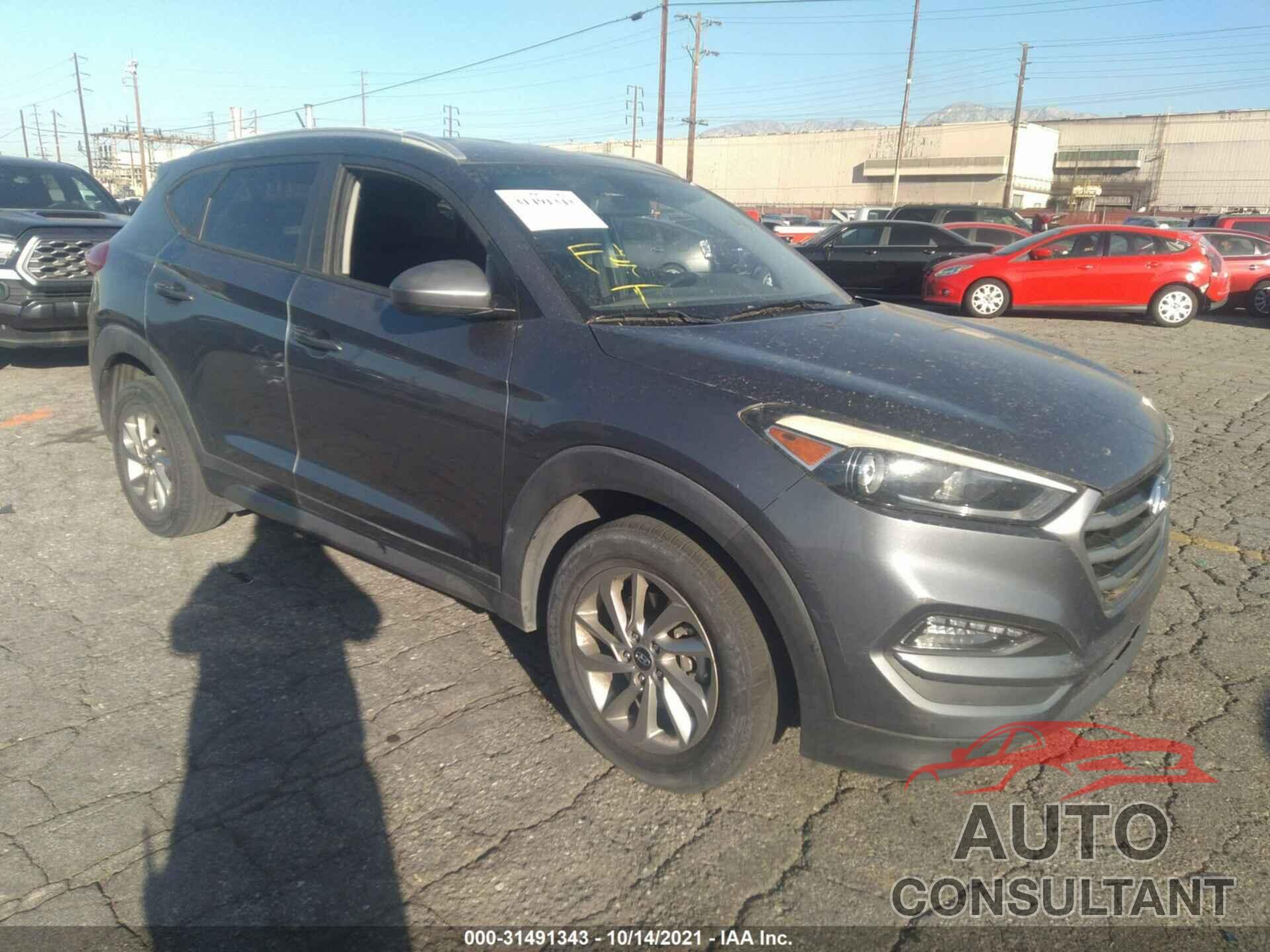 HYUNDAI TUCSON 2017 - KM8J33A46HU318171