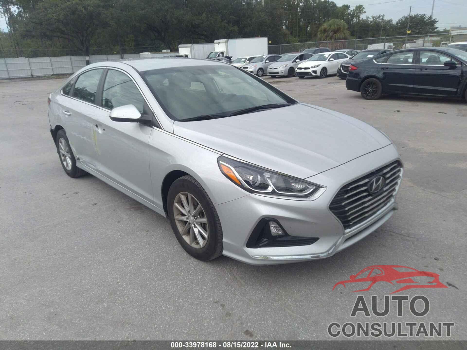 HYUNDAI SONATA 2019 - 5NPE24AF2KH750984
