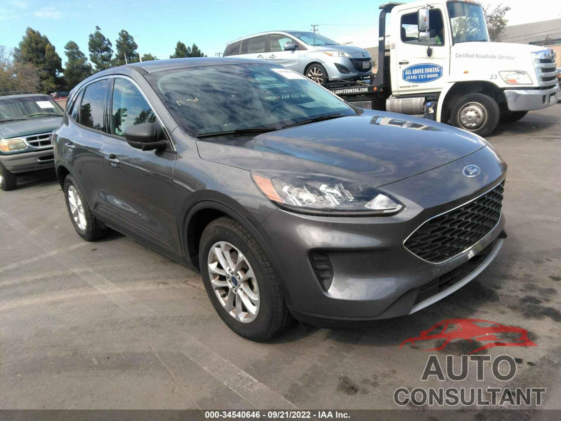 FORD ESCAPE 2022 - 1FMCU0G61NUA25741