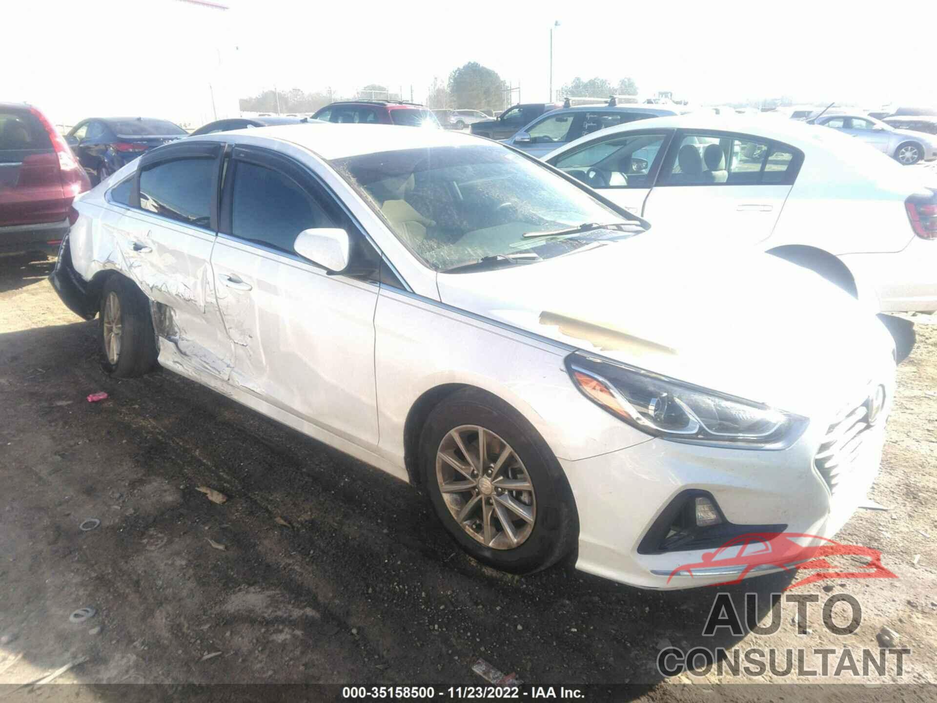 HYUNDAI SONATA 2019 - 5NPE24AF4KH776454