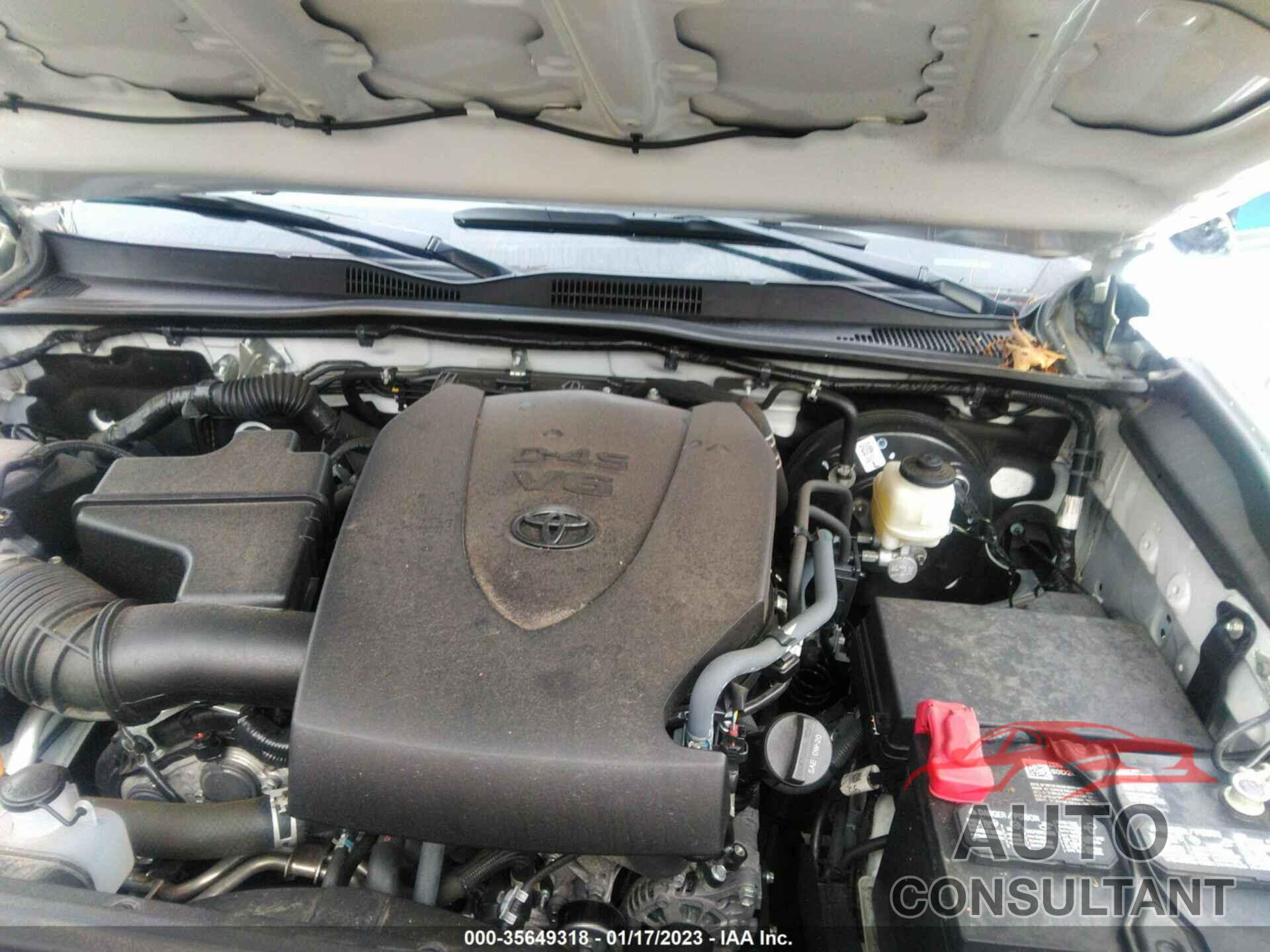 TOYOTA TACOMA 4WD 2021 - 3TMCZ5AN2MM387485