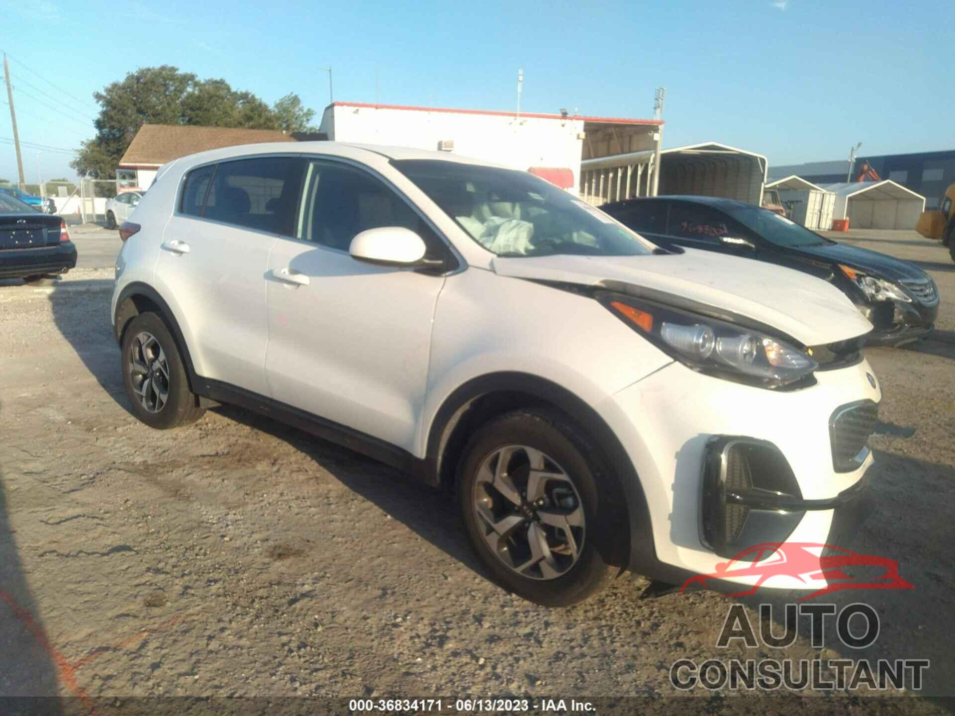 KIA SPORTAGE 2022 - KNDPM3AC6N7996660