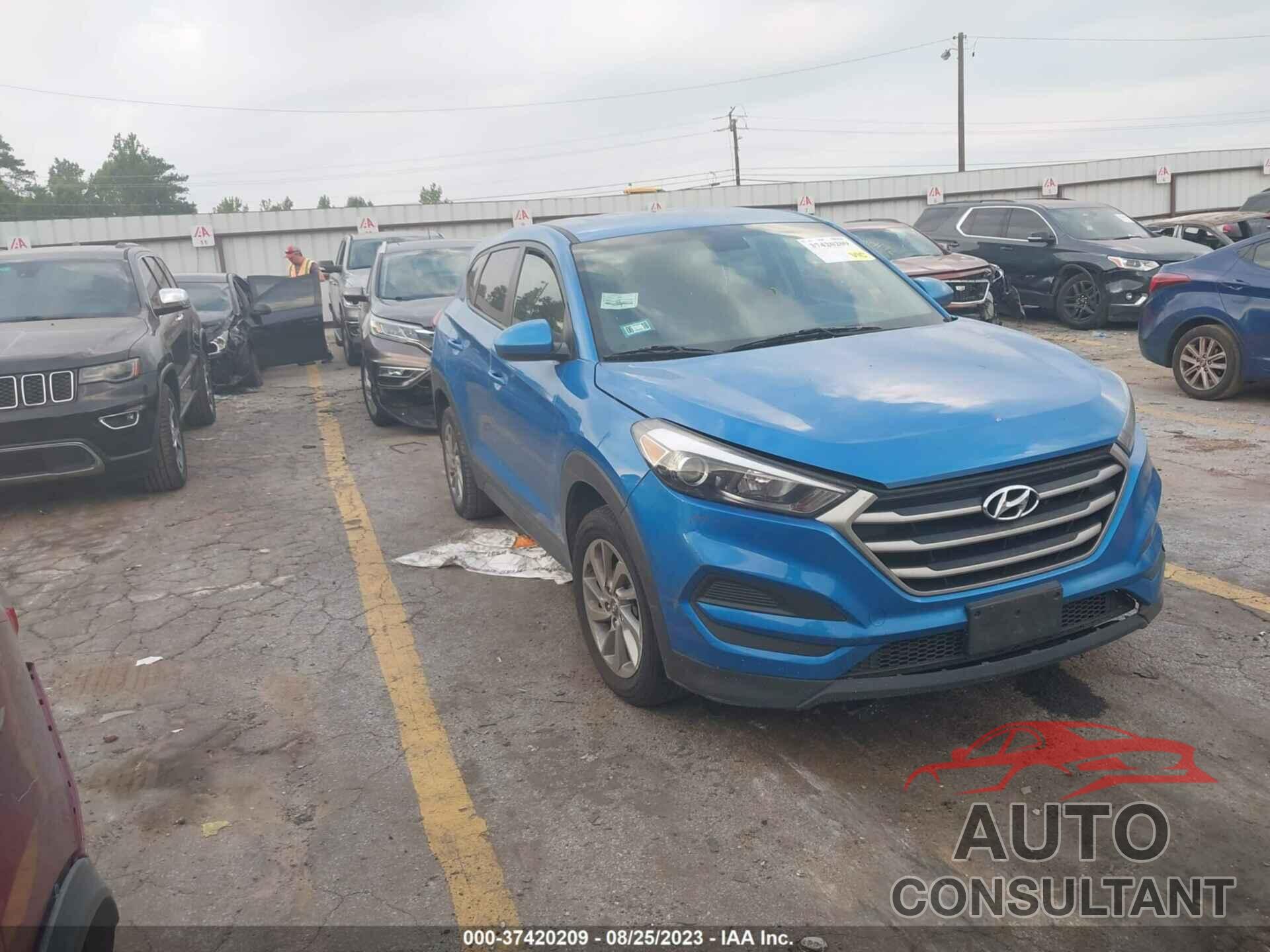 HYUNDAI TUCSON 2017 - KM8J23A44HU575994