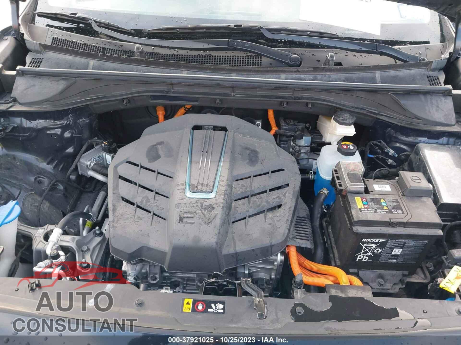KIA NIRO EV 2020 - KNDCC3LG8L5036671
