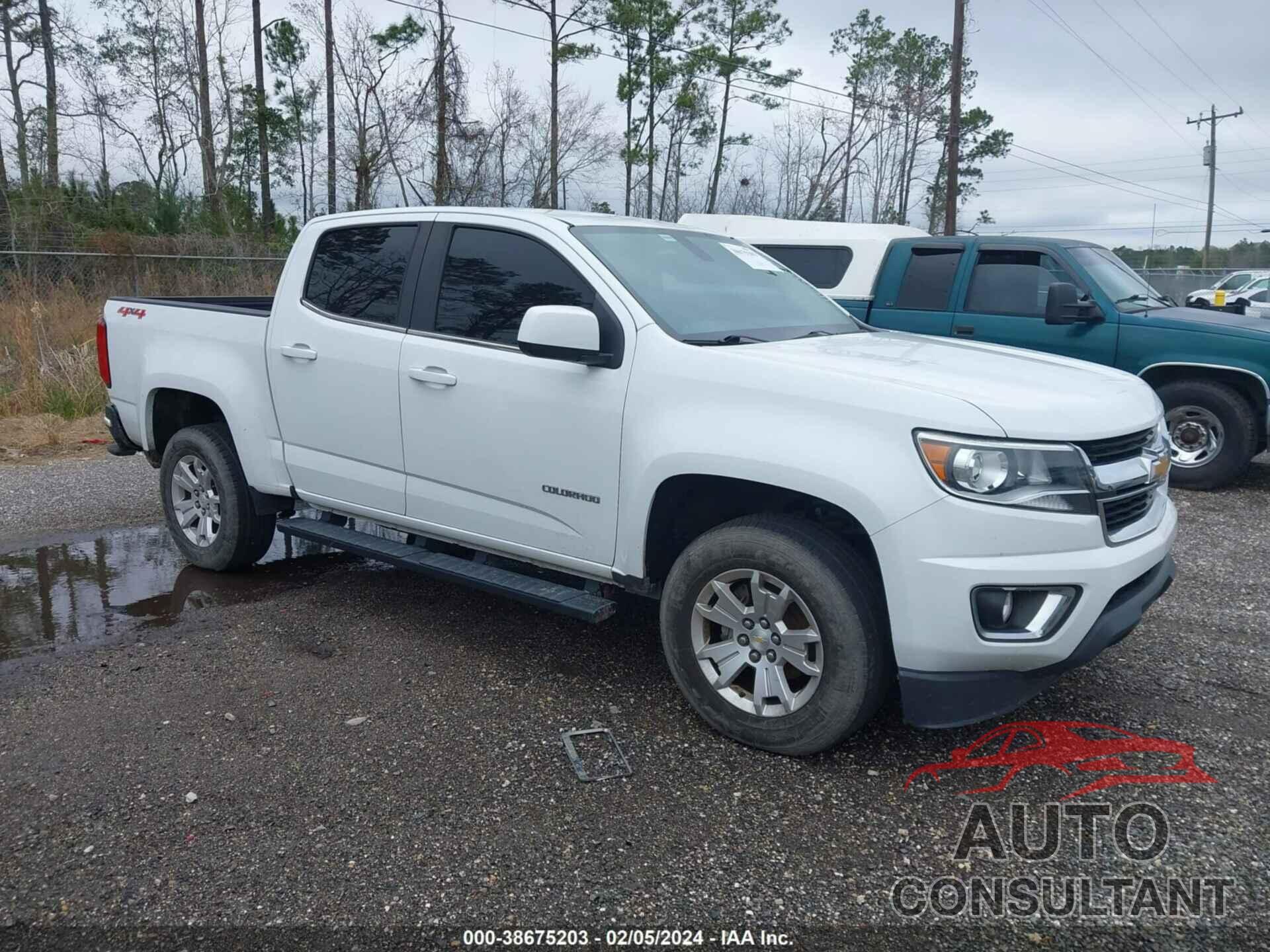 CHEVROLET COLORADO 2020 - 1GCGTCEN2L1167860