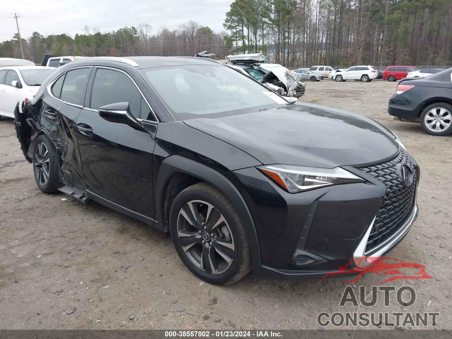 LEXUS UX 250H 2020 - JTHP9JBH8L2035681