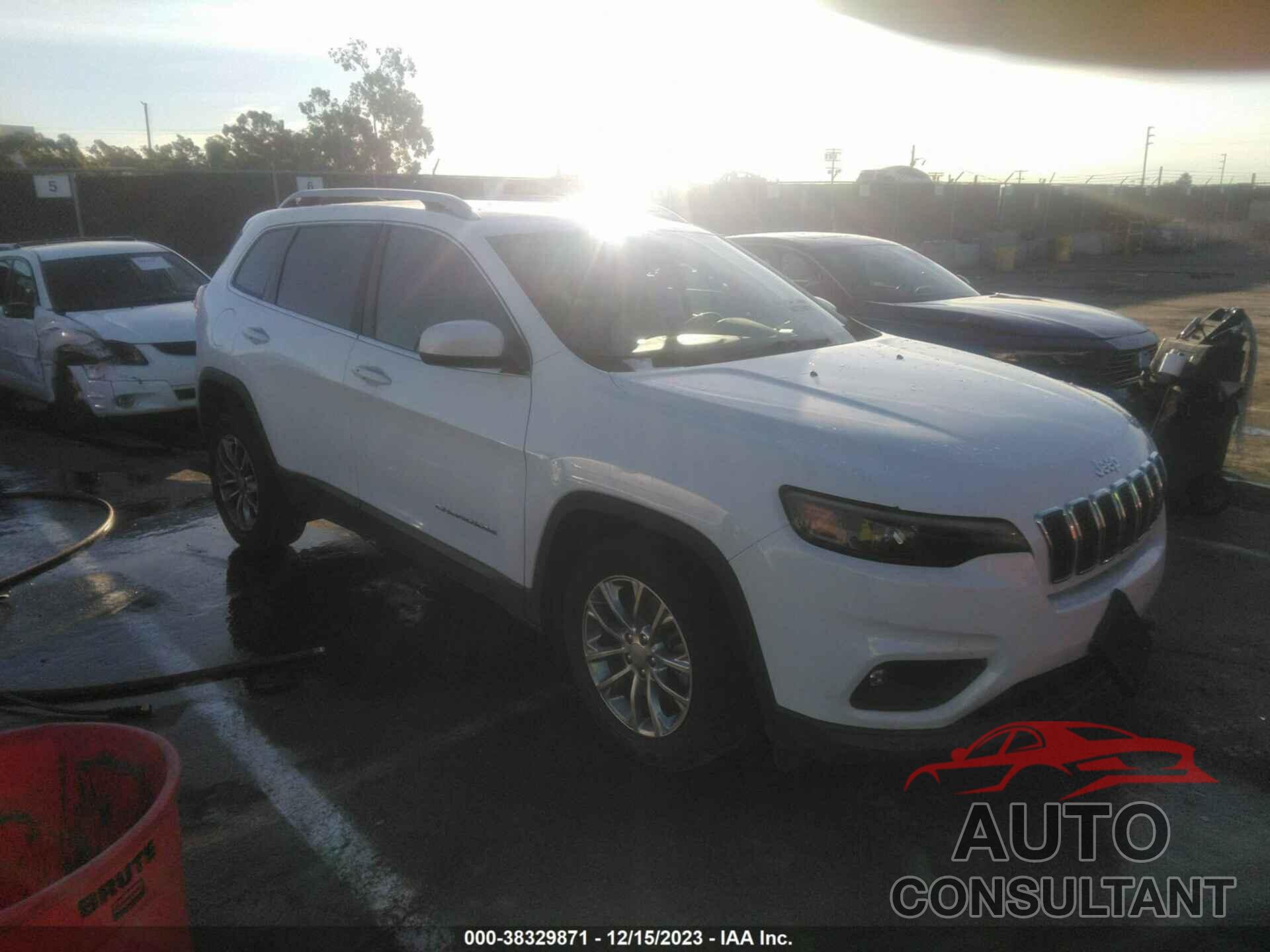 JEEP CHEROKEE 2019 - 1C4PJLLB5KD202936