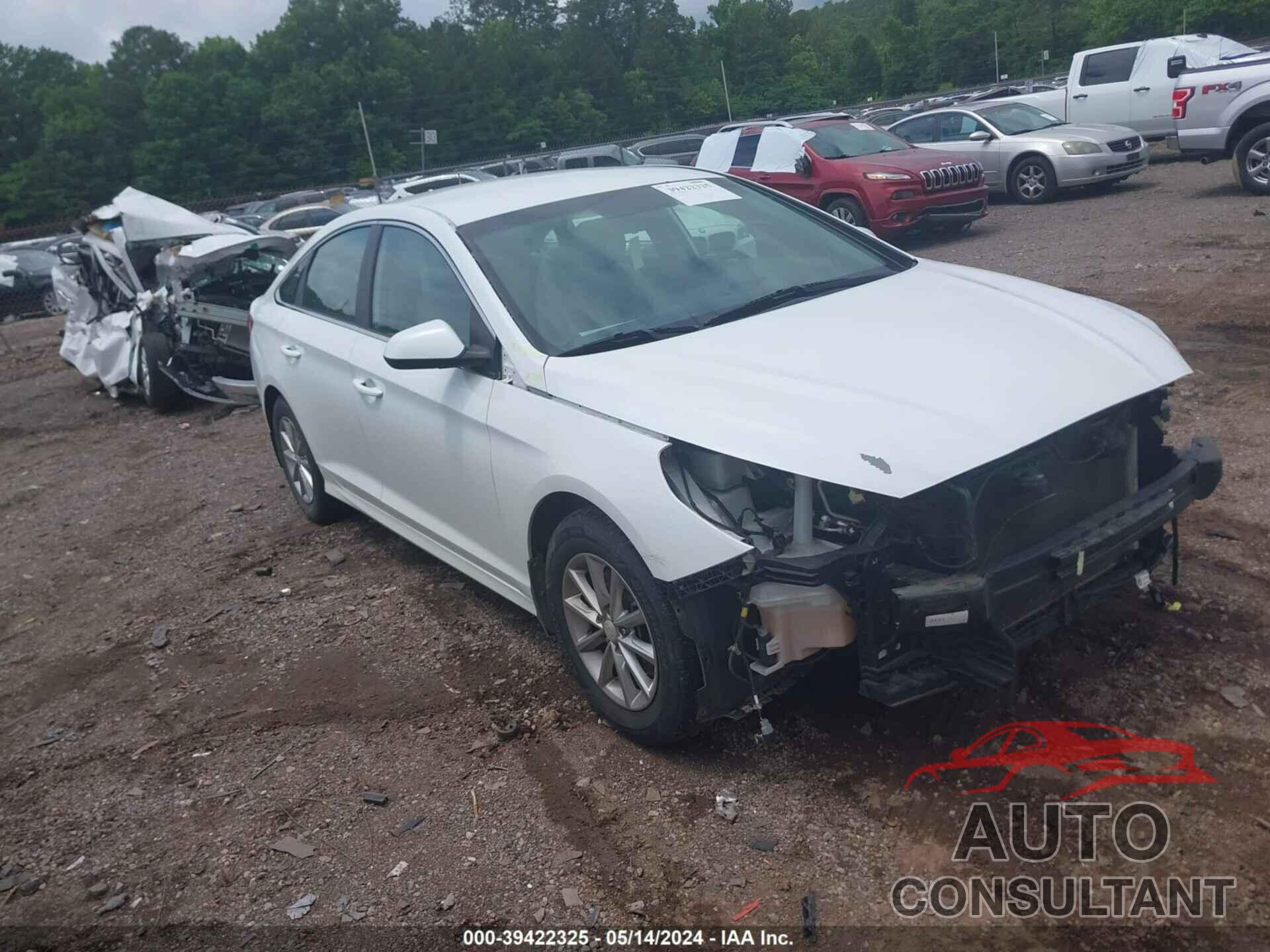 HYUNDAI SONATA 2019 - 5NPE24AF5KH729465