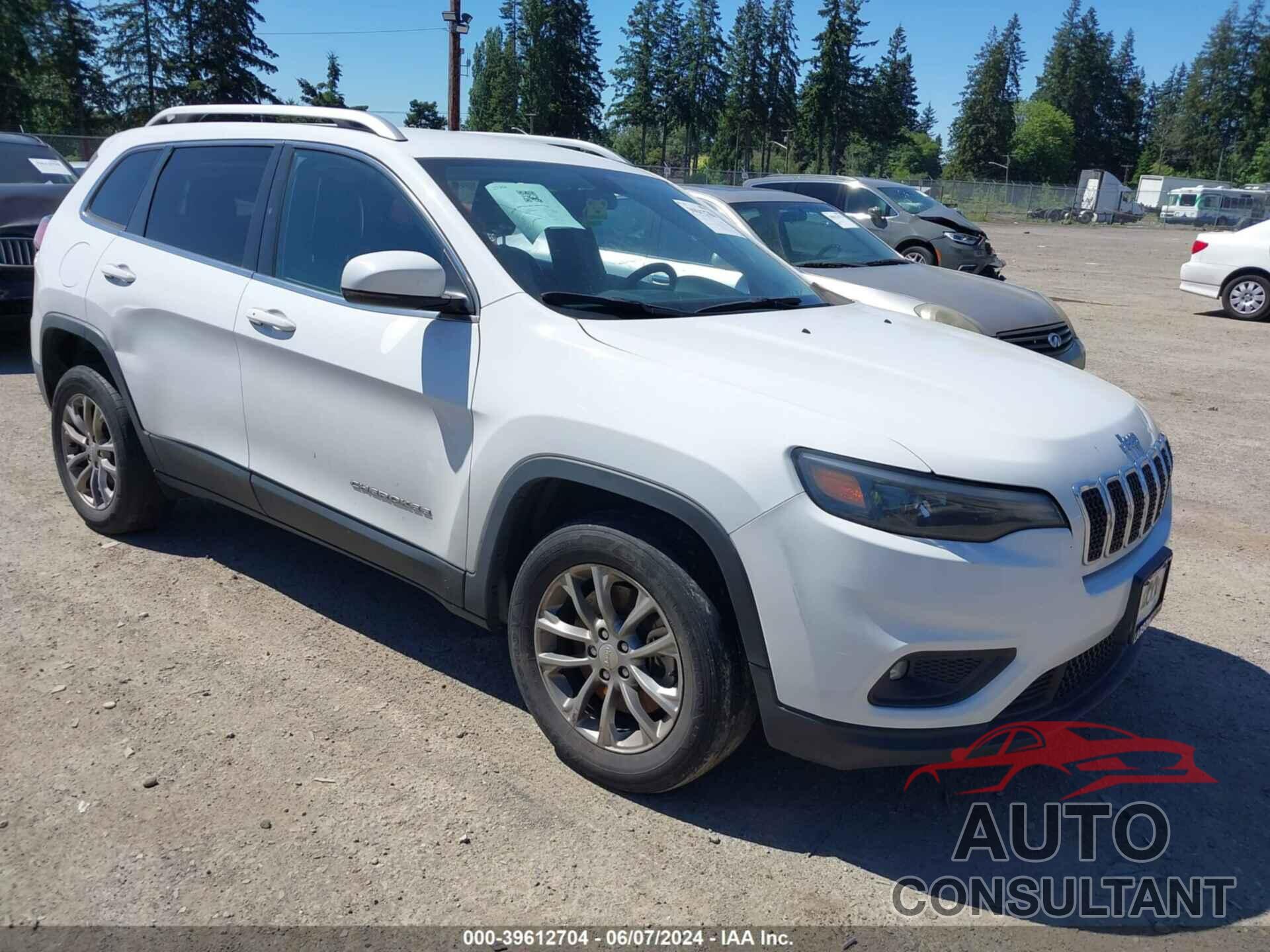 JEEP CHEROKEE 2019 - 1C4PJLLB4KD264439