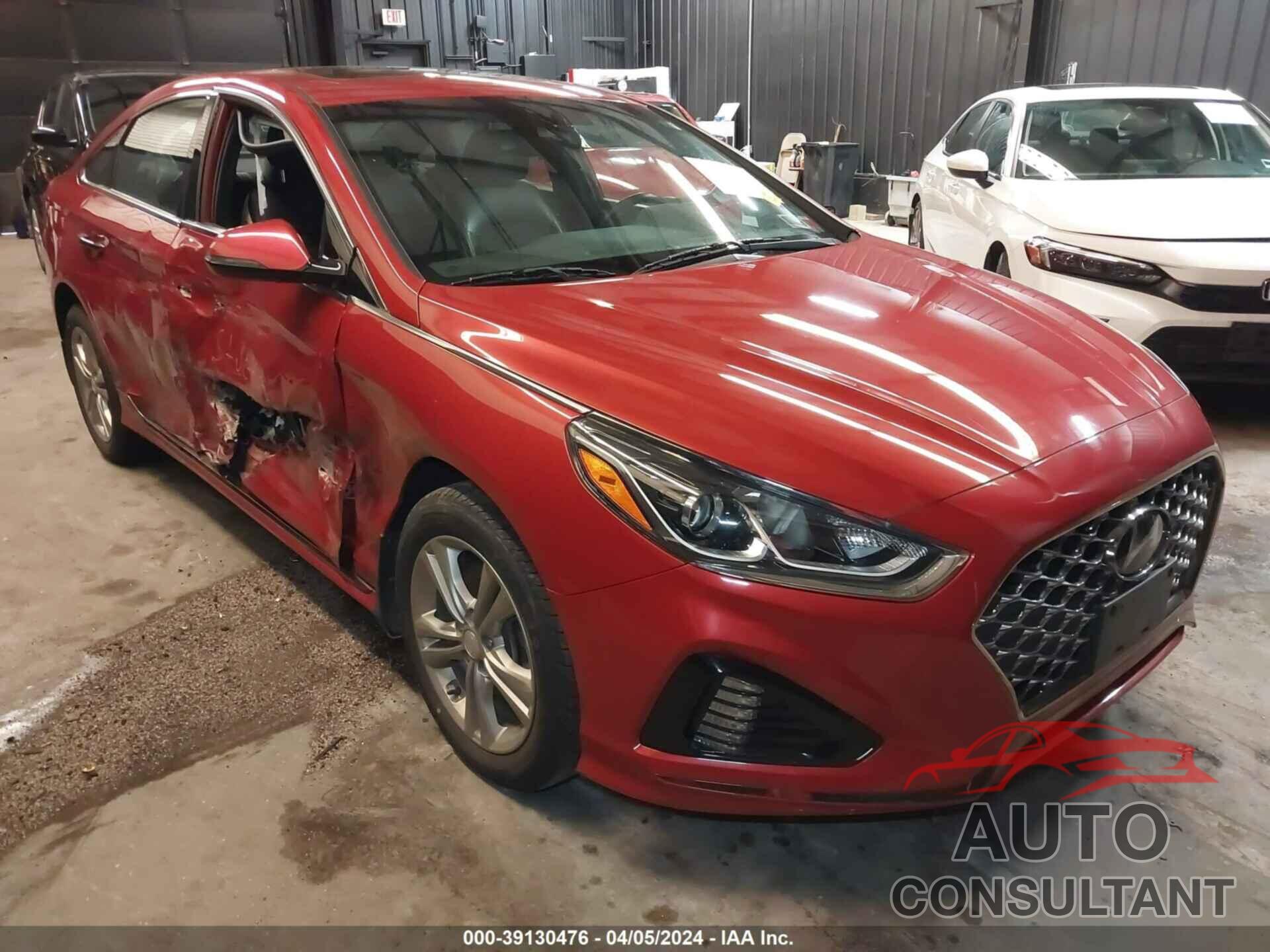 HYUNDAI SONATA 2019 - 5NPE34AF8KH815947