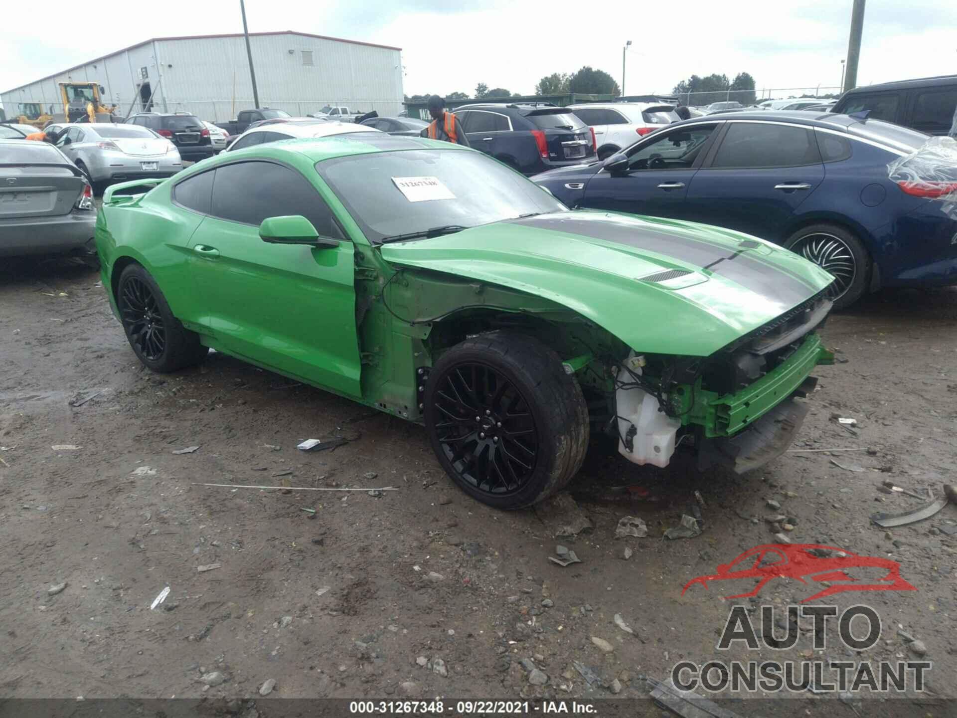 FORD MUSTANG 2019 - 1FA6P8CF0K5117271