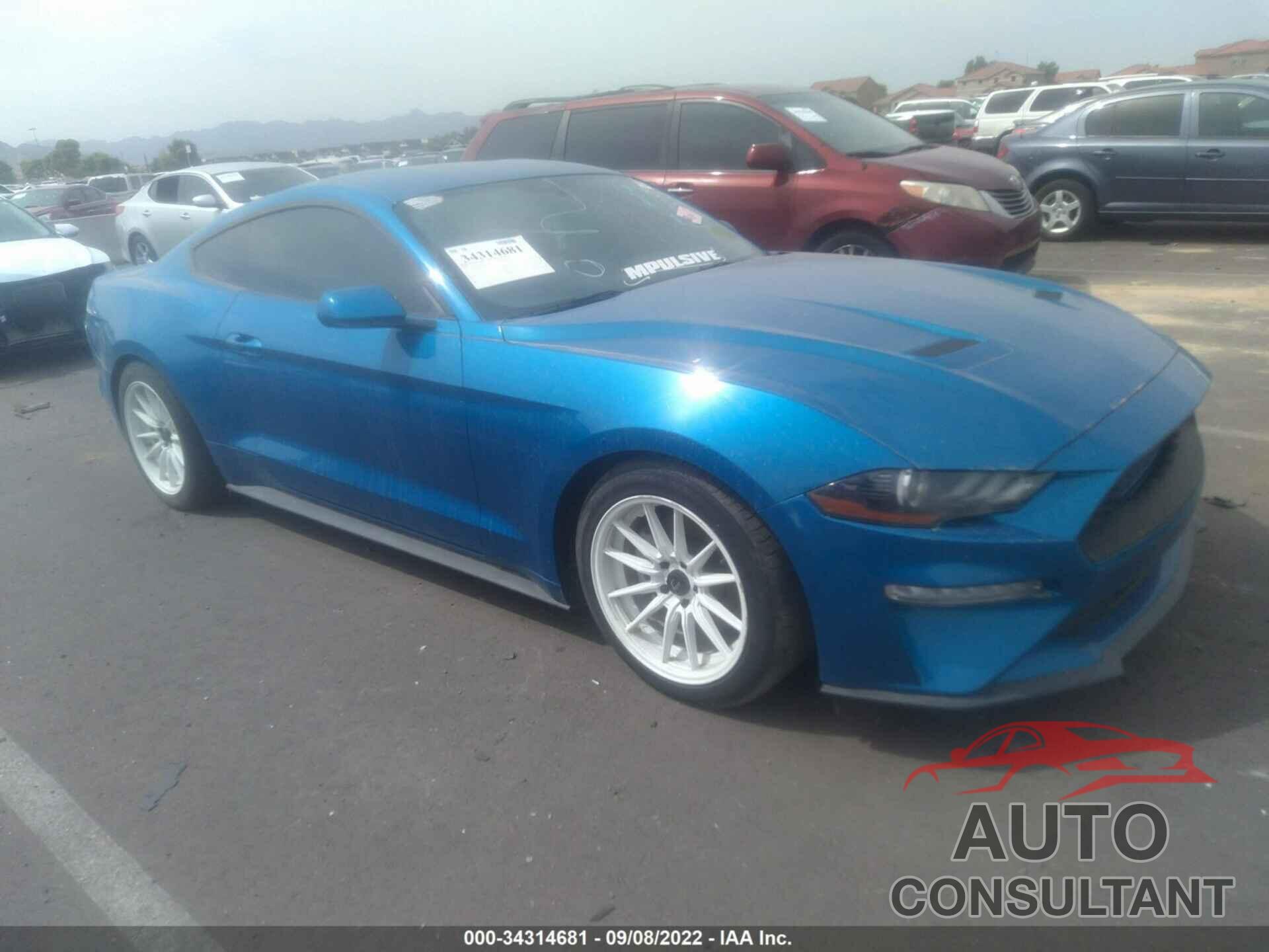 FORD MUSTANG 2019 - 1FA6P8TH5K5175703