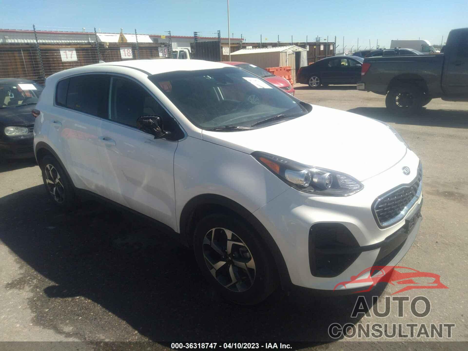 KIA SPORTAGE 2022 - KNDPM3AC5N7017212