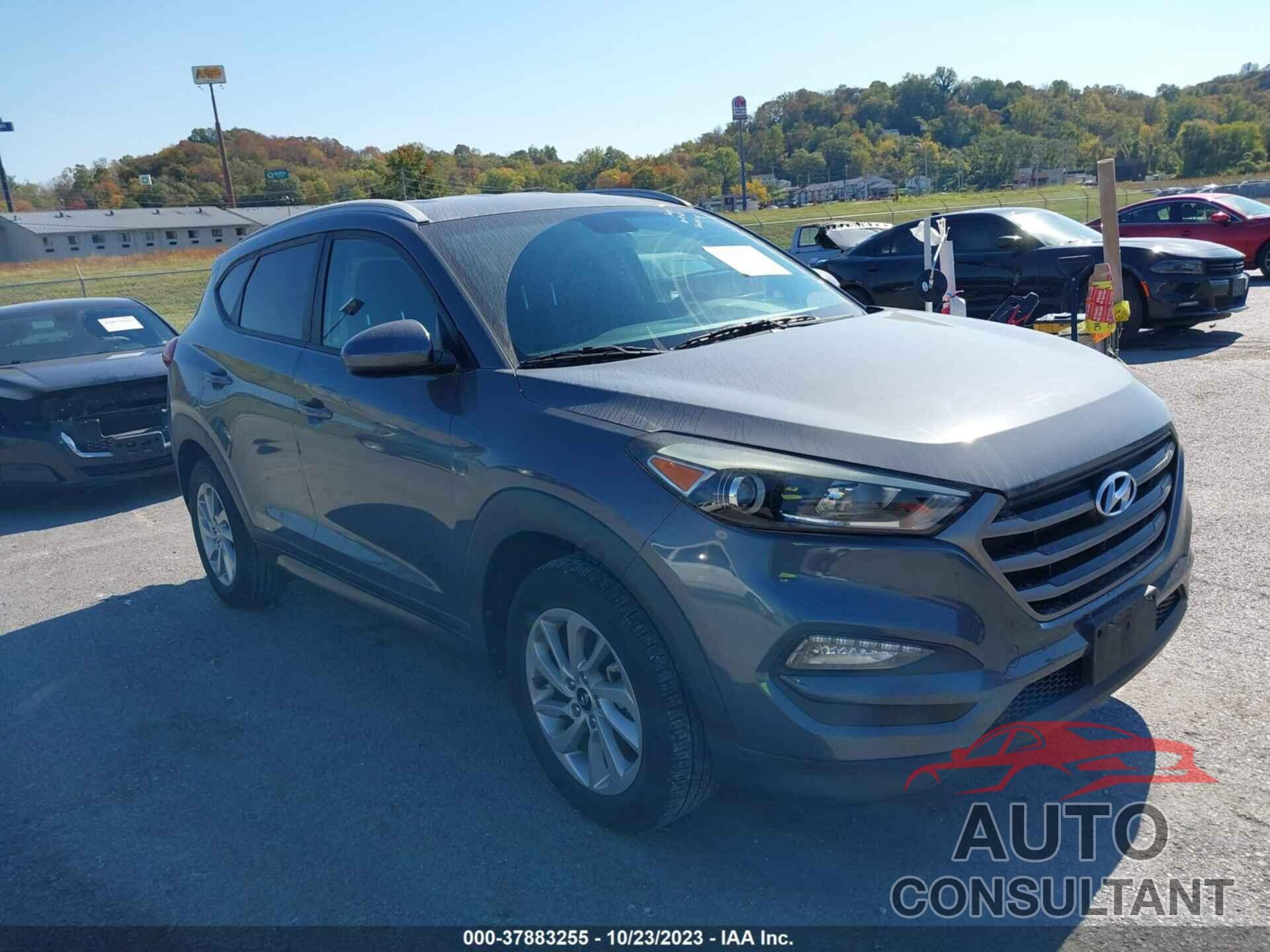 HYUNDAI TUCSON 2016 - KM8J33A41GU238890