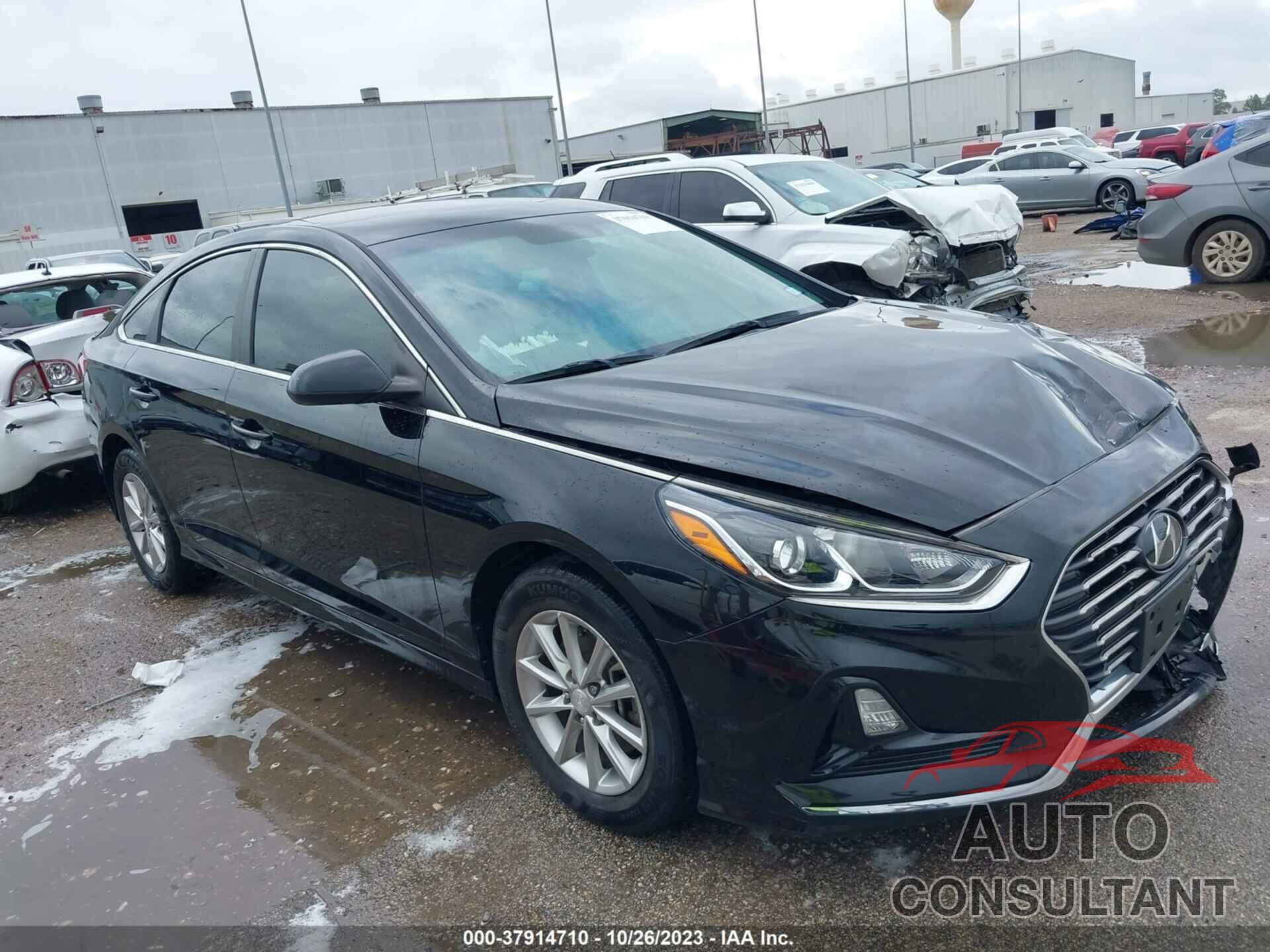 HYUNDAI SONATA 2019 - 5NPE24AF0KH755956