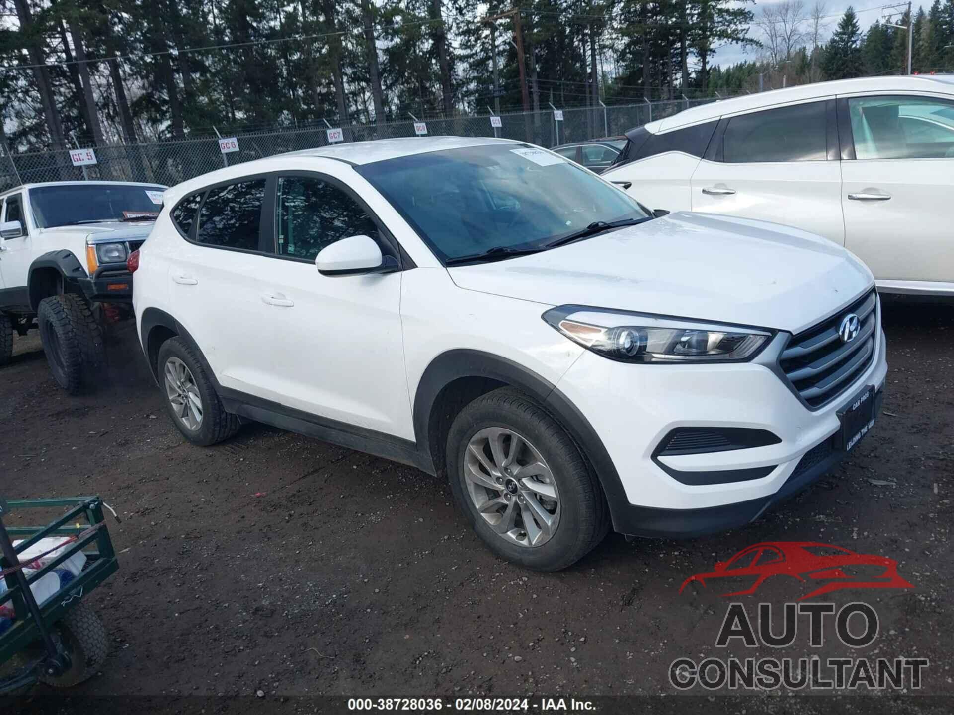 HYUNDAI TUCSON 2018 - KM8J2CA41JU764527