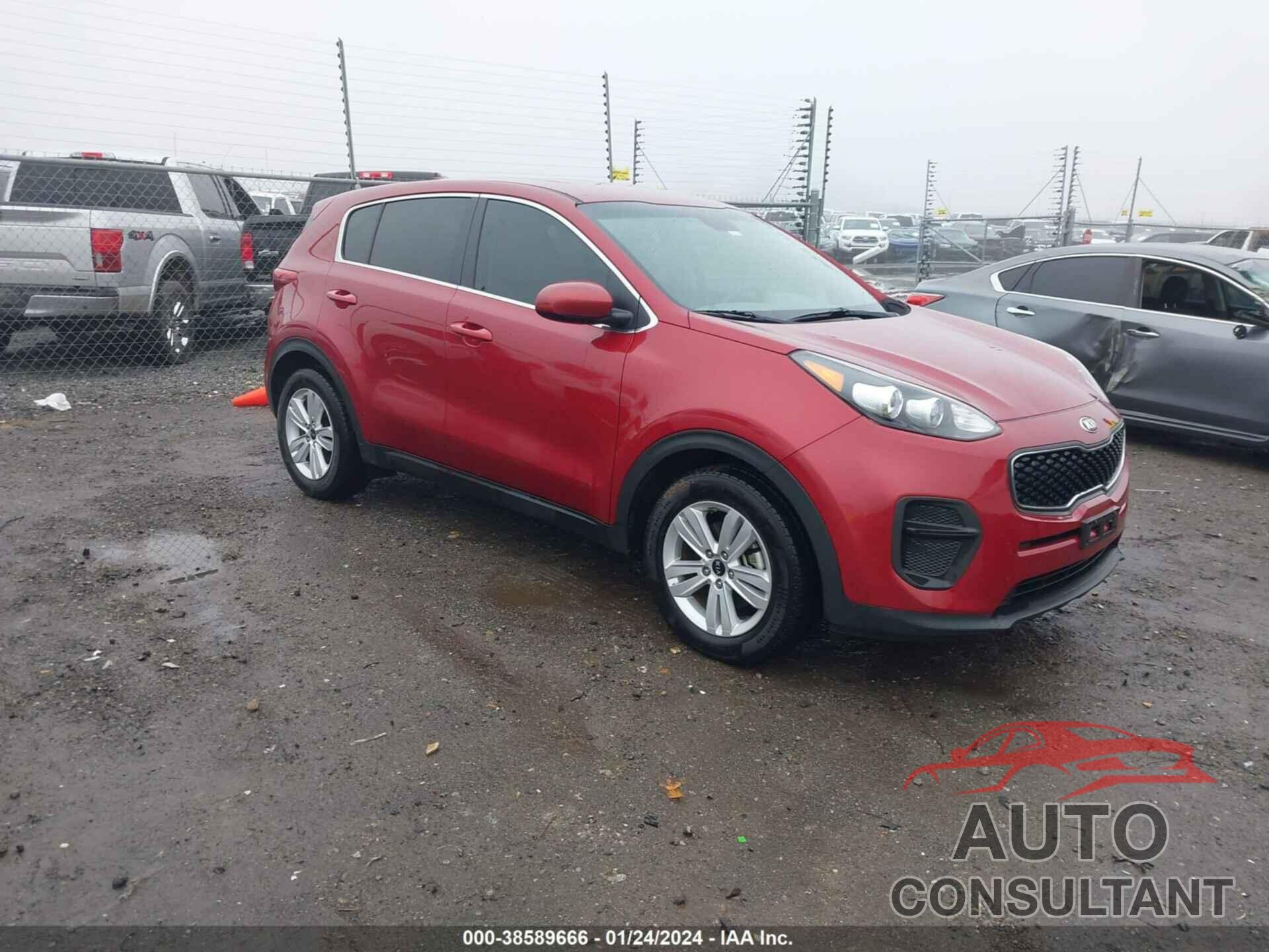 KIA SPORTAGE 2017 - KNDPM3AC7H7170422