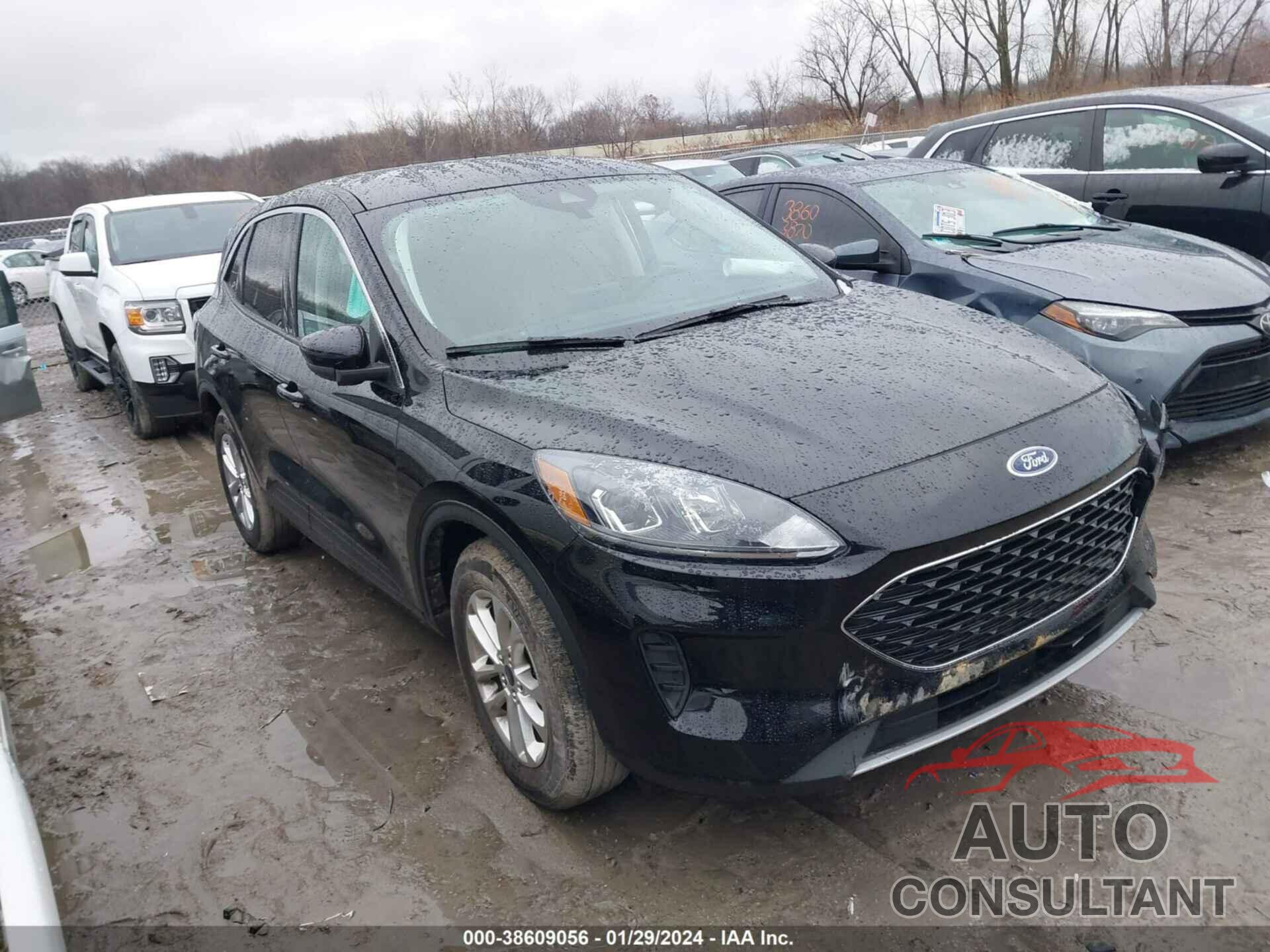 FORD ESCAPE 2022 - 1FMCU0G64NUA31646