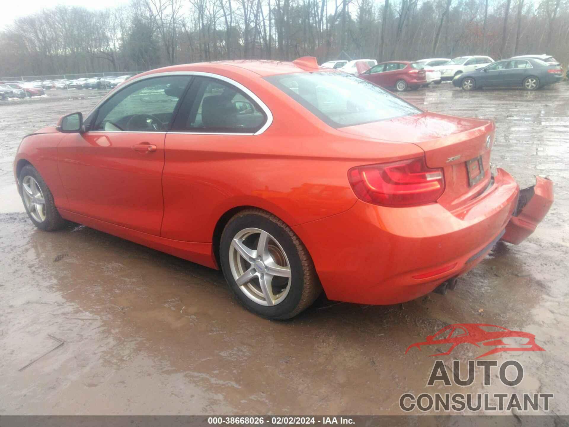 BMW 228I 2016 - WBA1G9C55GV727110