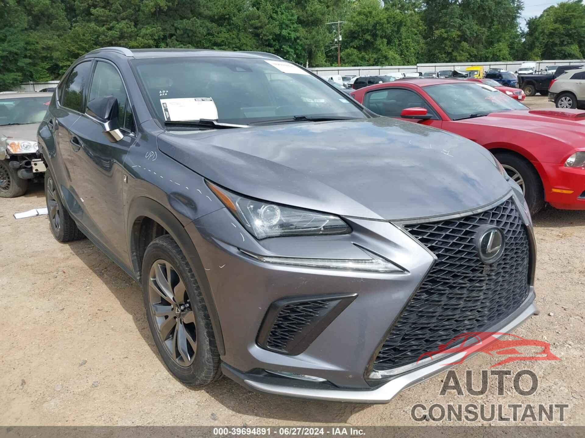 LEXUS NX 300 2019 - JTJYARBZ1K2137954