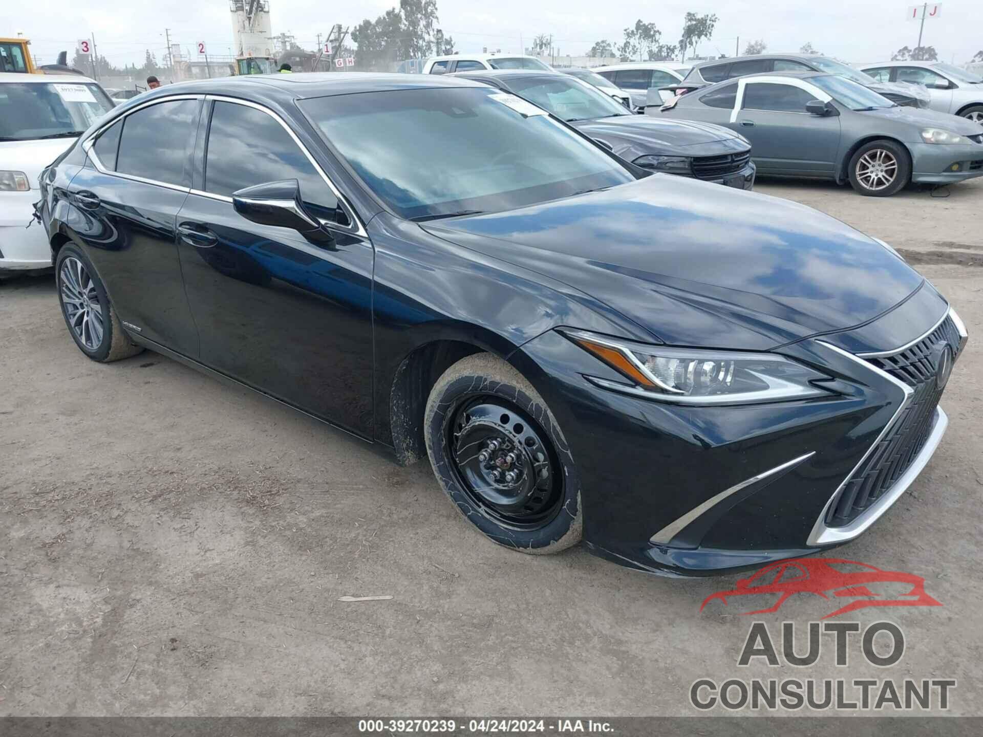 LEXUS ES 300H 2022 - 58ADA1C14NU020099