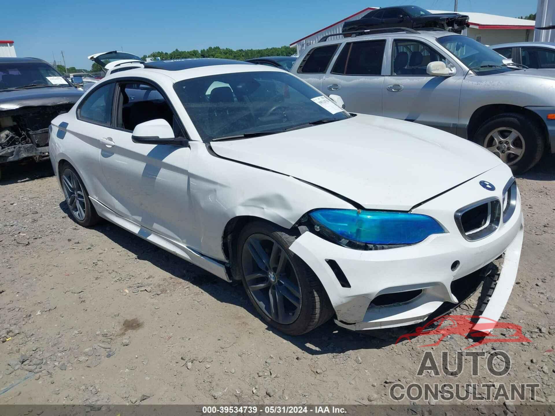 BMW 228I 2016 - WBA1F9C51GV546556