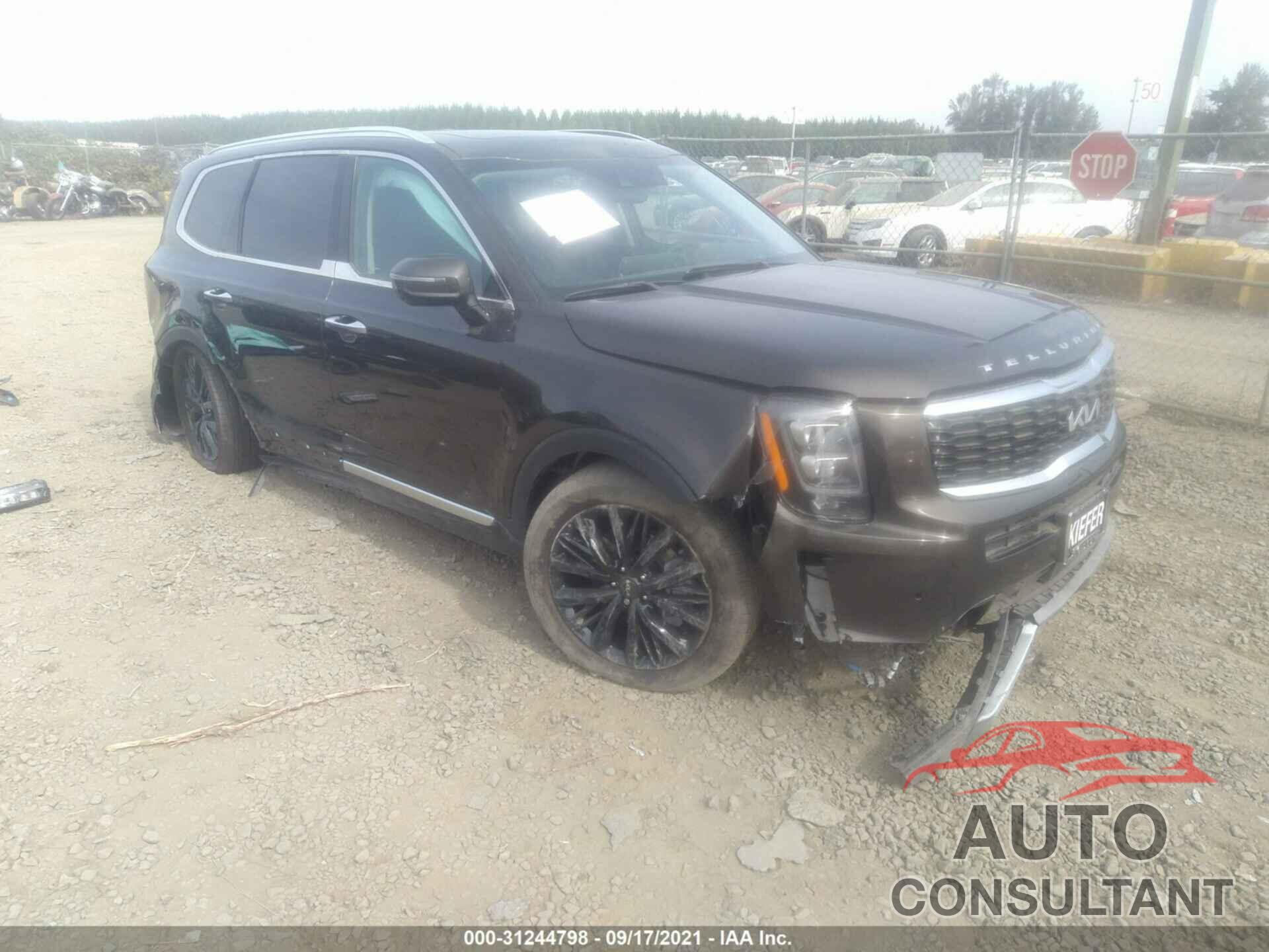 KIA TELLURIDE 2022 - 5XYP5DHC4NG198783