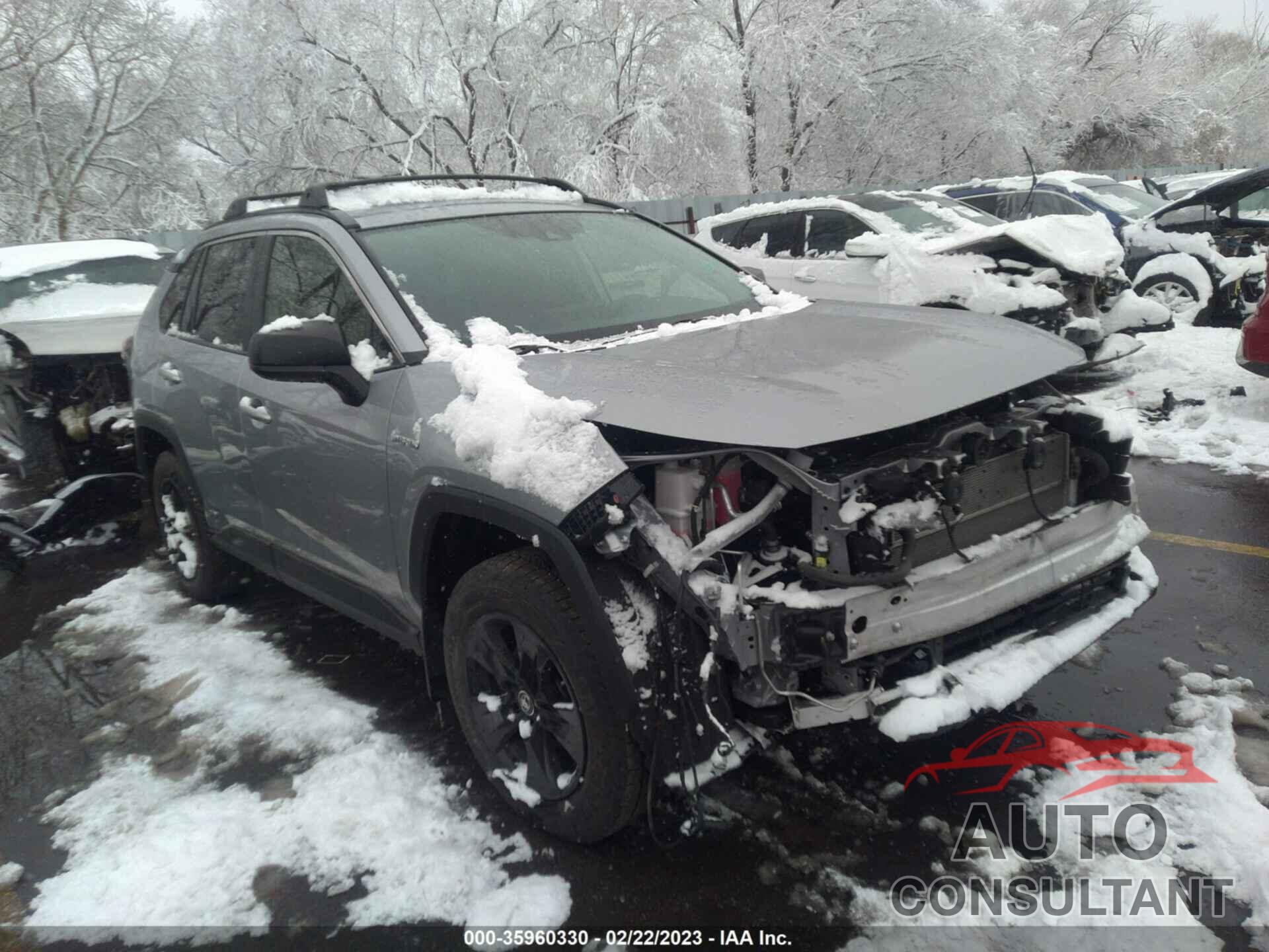 TOYOTA RAV4 2019 - JTMLWRFV0KD009733