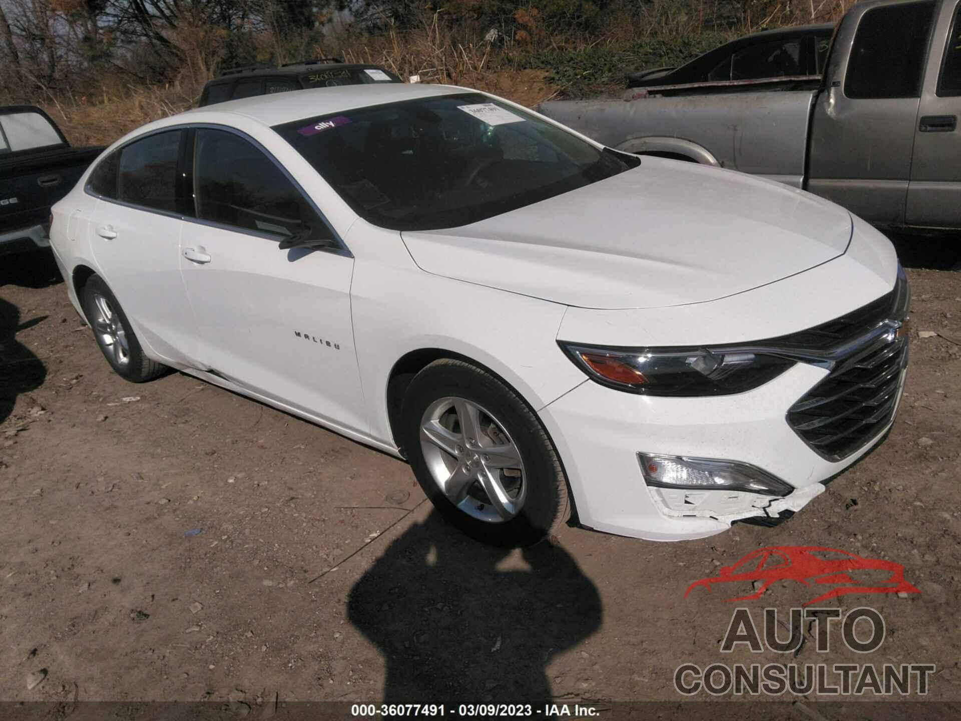 CHEVROLET MALIBU 2019 - 1G1ZB5ST7KF128654