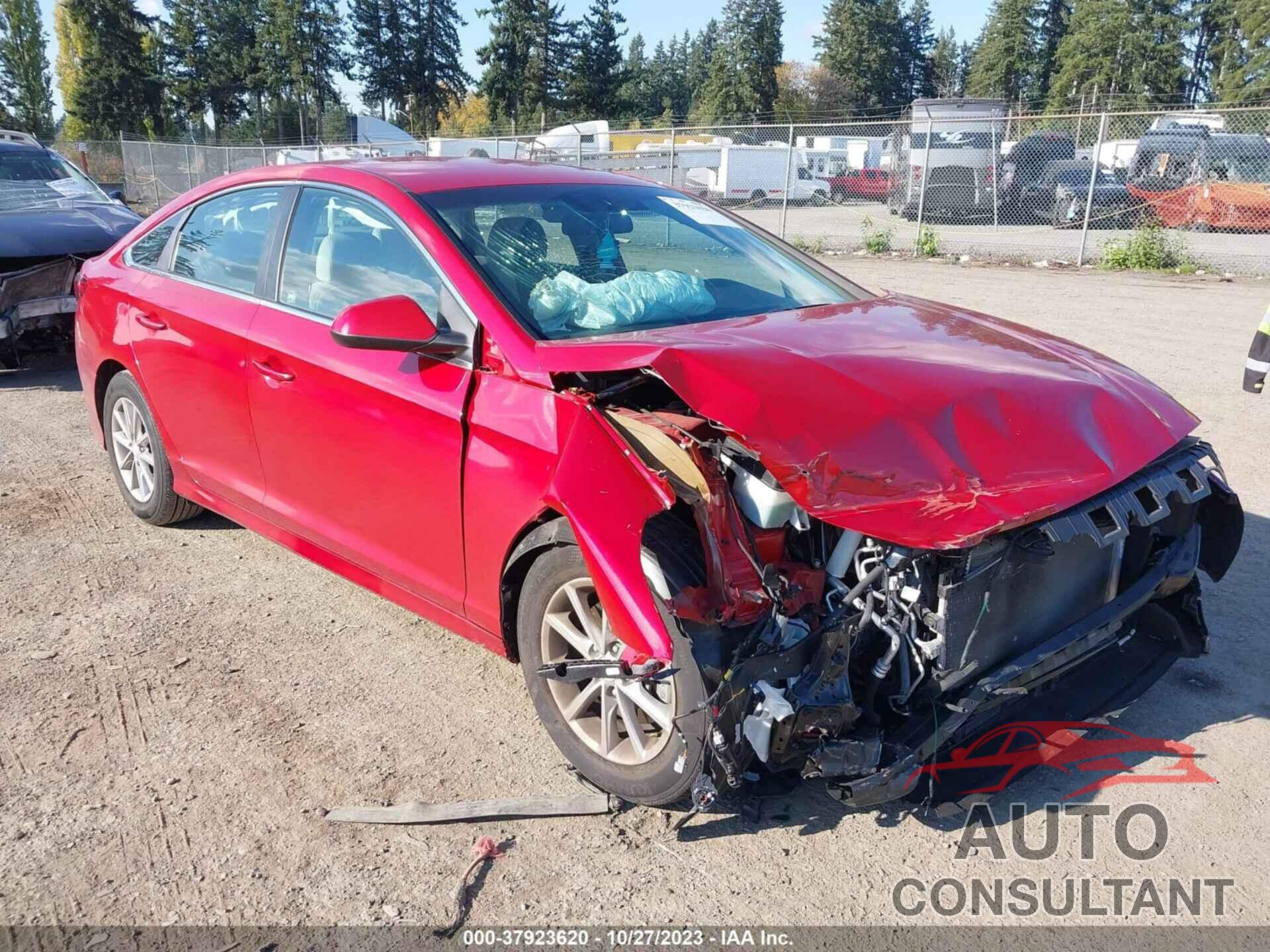 HYUNDAI SONATA 2019 - 5NPE24AF7KH819040