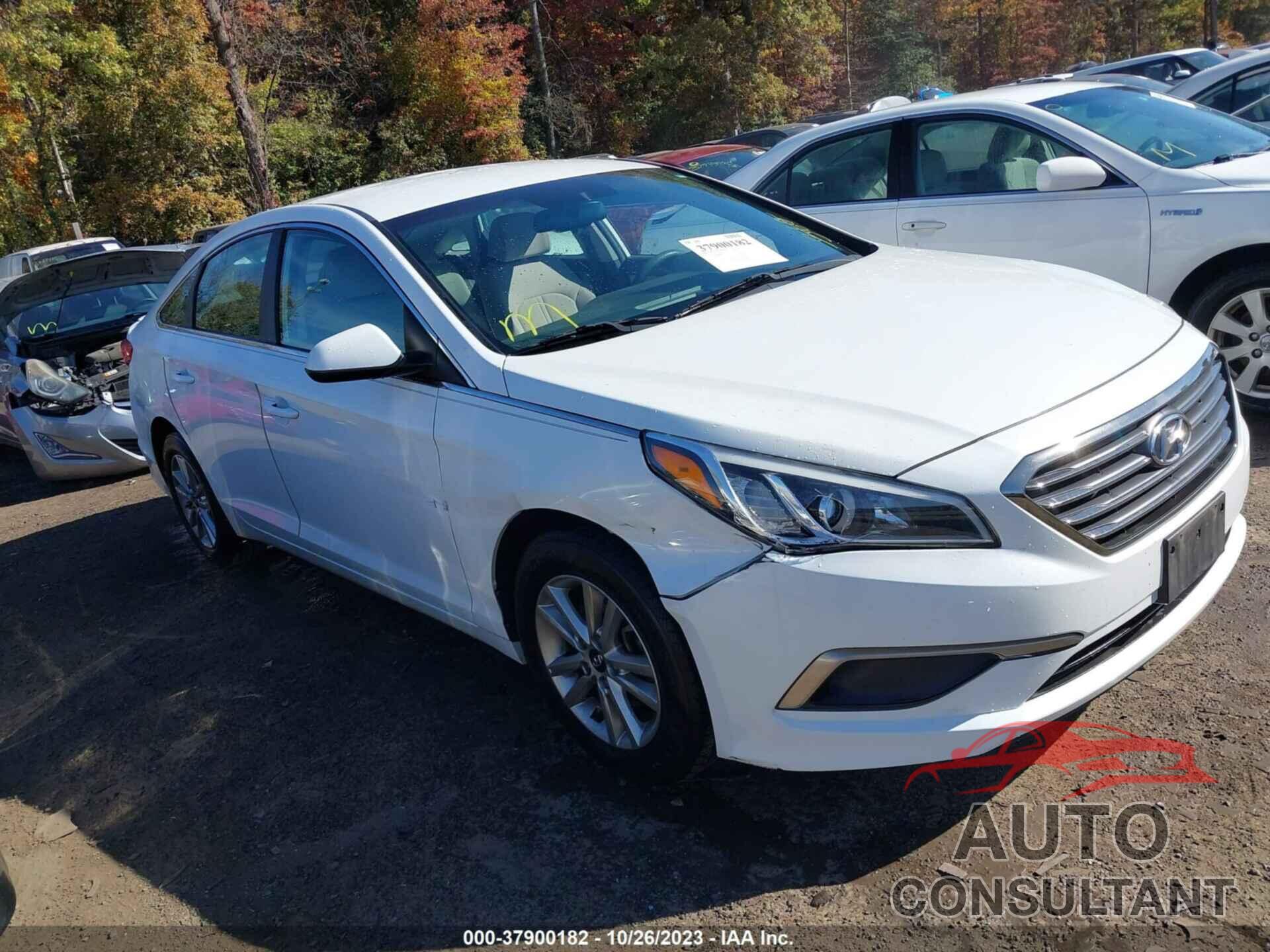 HYUNDAI SONATA 2016 - 5NPE24AF9GH295669