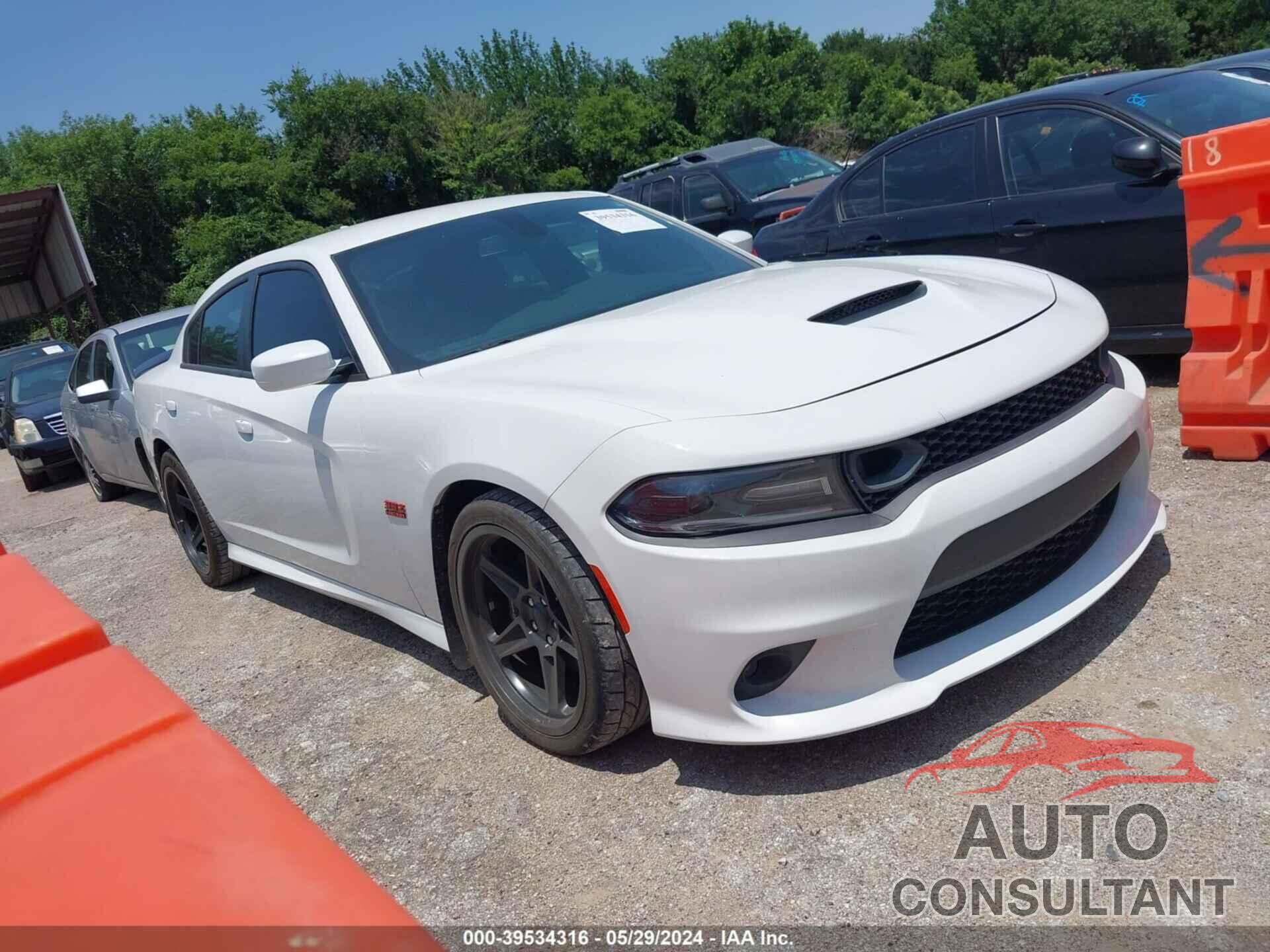 DODGE CHARGER 2019 - 2C3CDXGJ0KH717896
