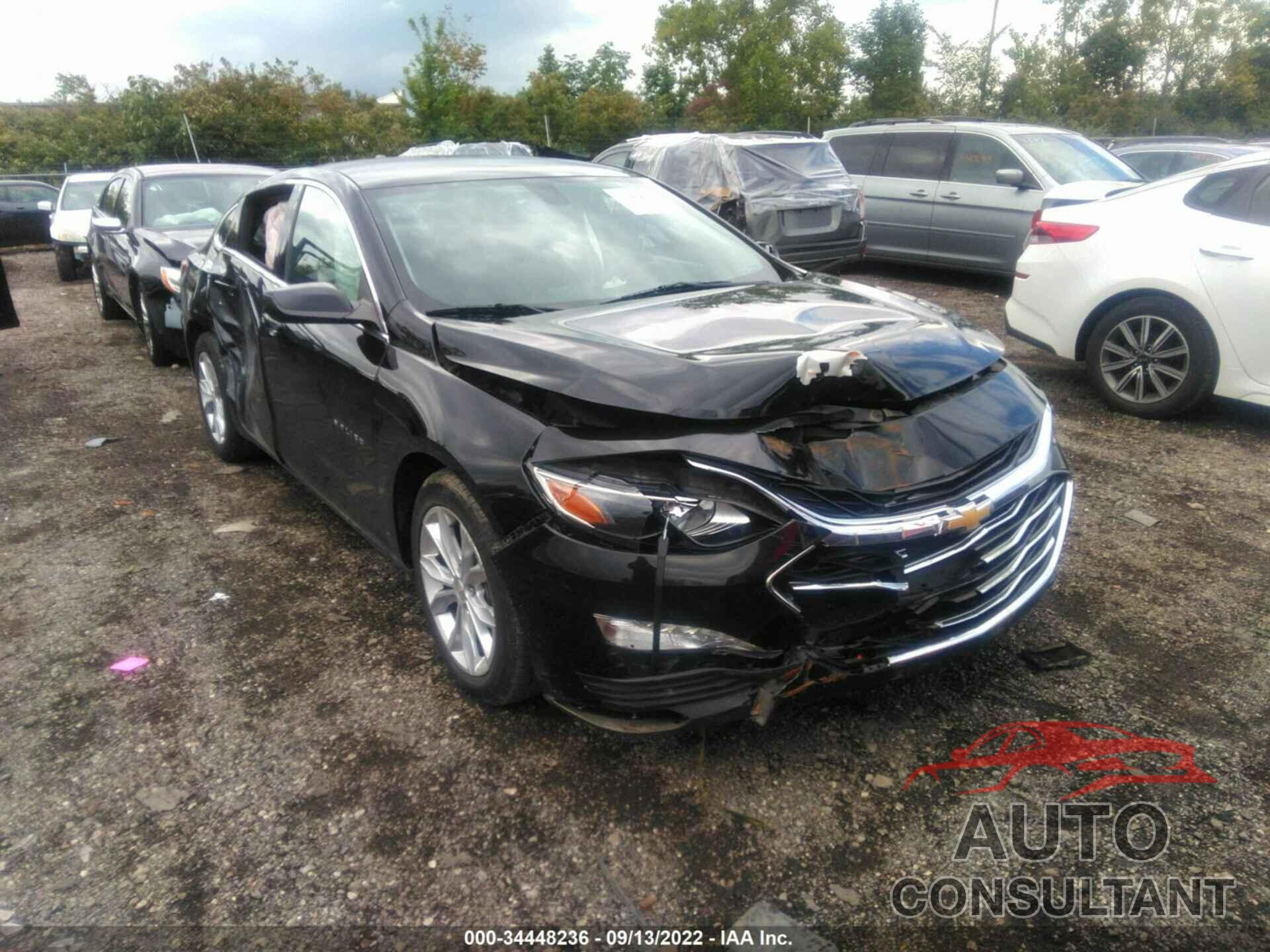 CHEVROLET MALIBU 2019 - 1G1ZD5ST1KF170134