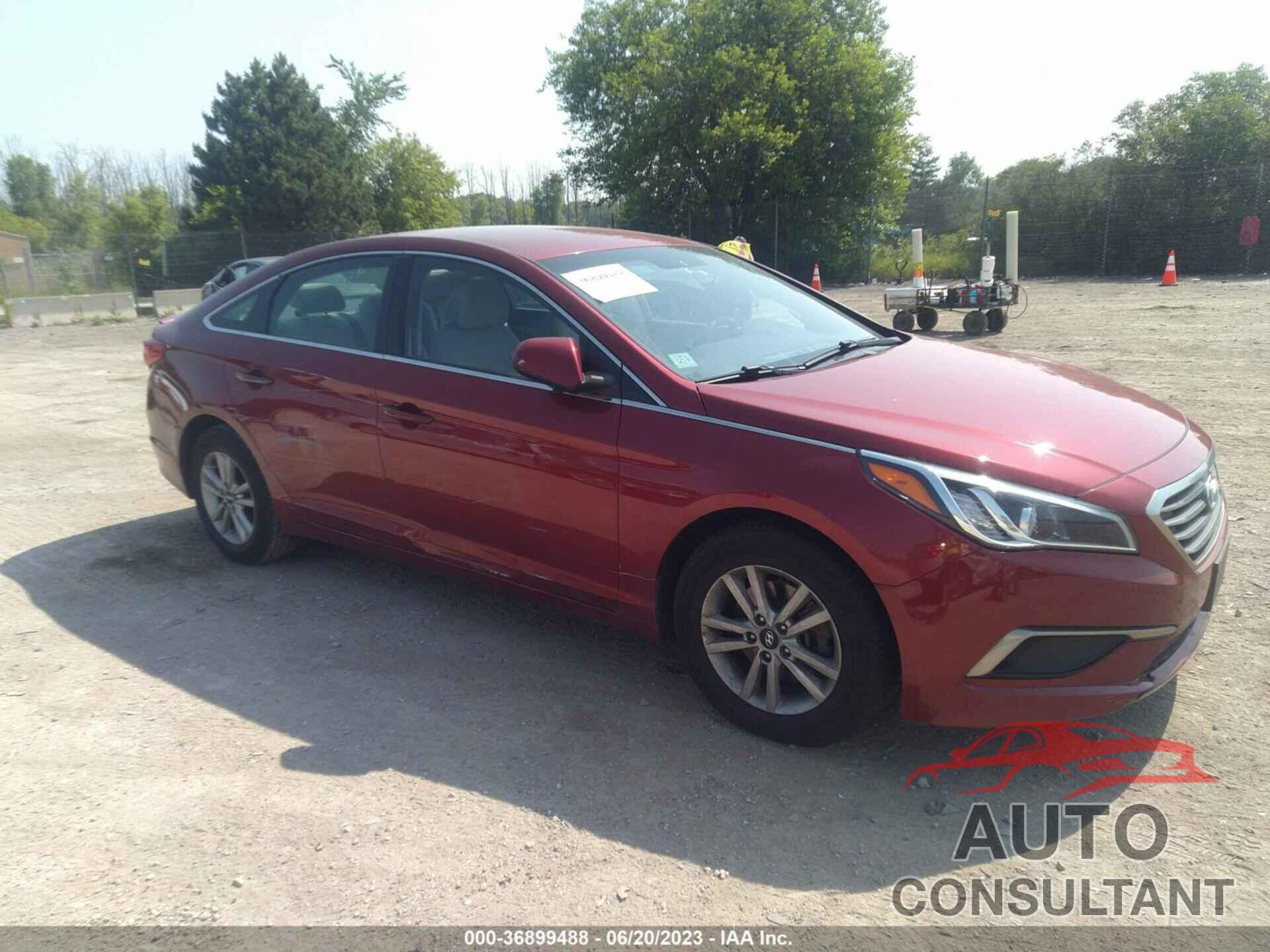 HYUNDAI SONATA 2016 - 5NPE24AF7GH369249