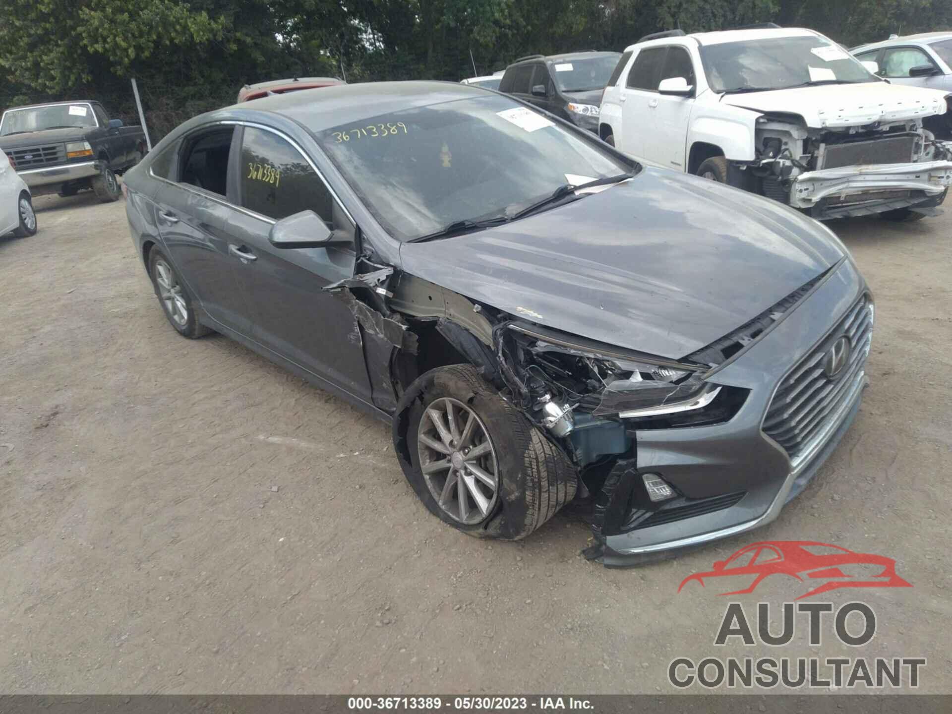 HYUNDAI SONATA 2019 - 5NPE24AF1KH759739