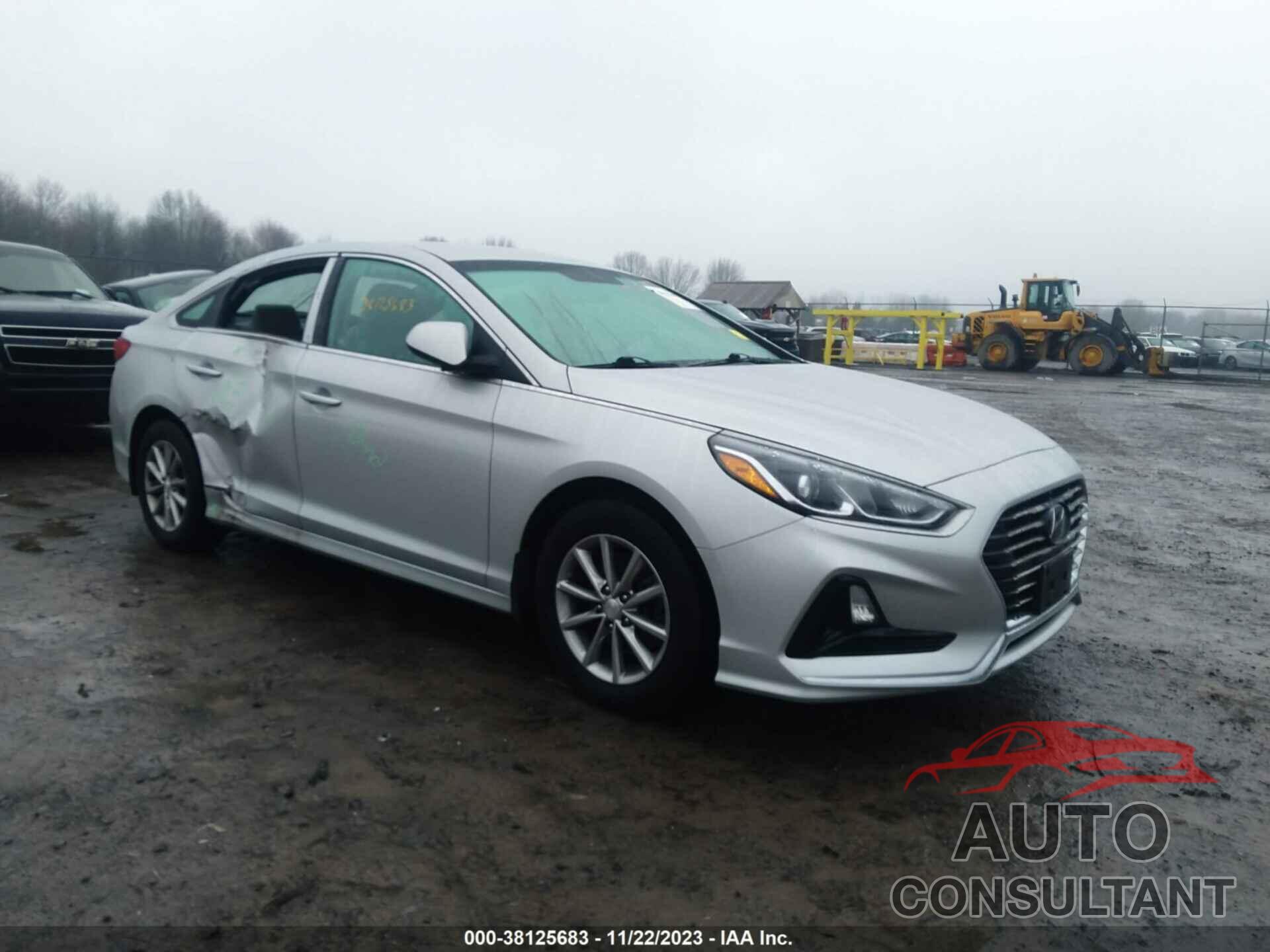 HYUNDAI SONATA 2019 - 5NPE24AF4KH798387