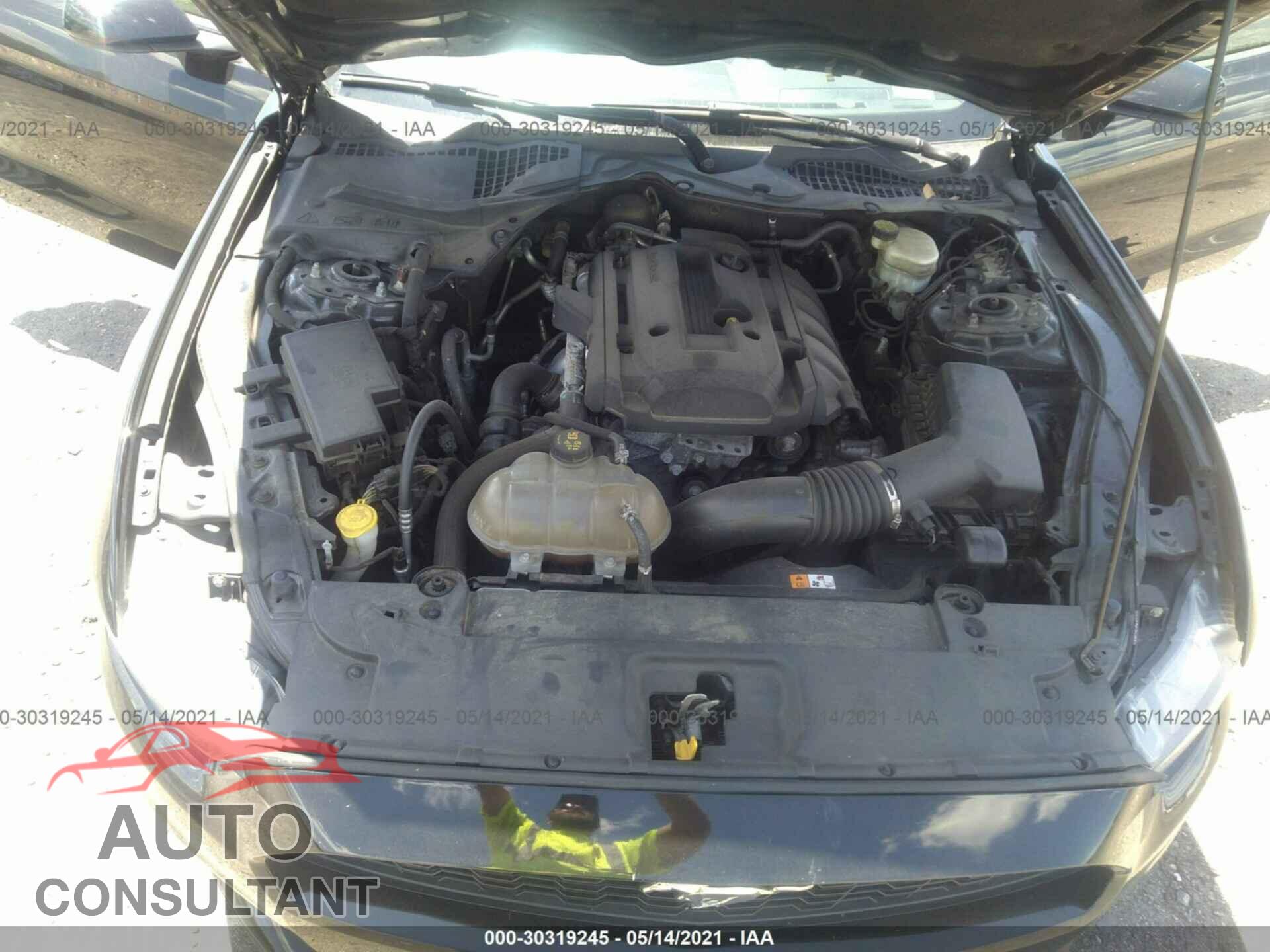 FORD MUSTANG 2017 - 1FA6P8TH2H5217138
