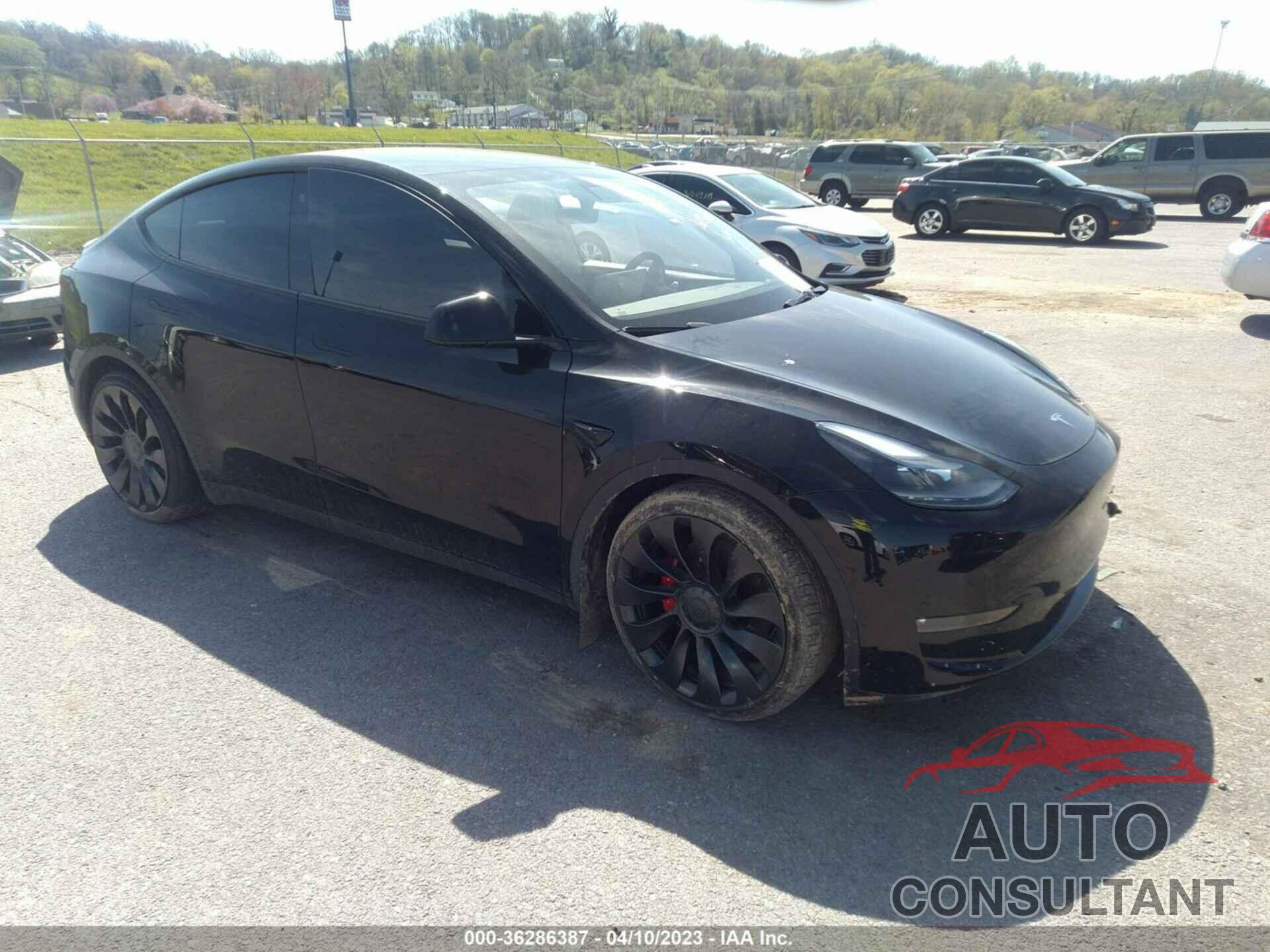 TESLA MODEL Y 2022 - 7SAYGDEF4NF401064