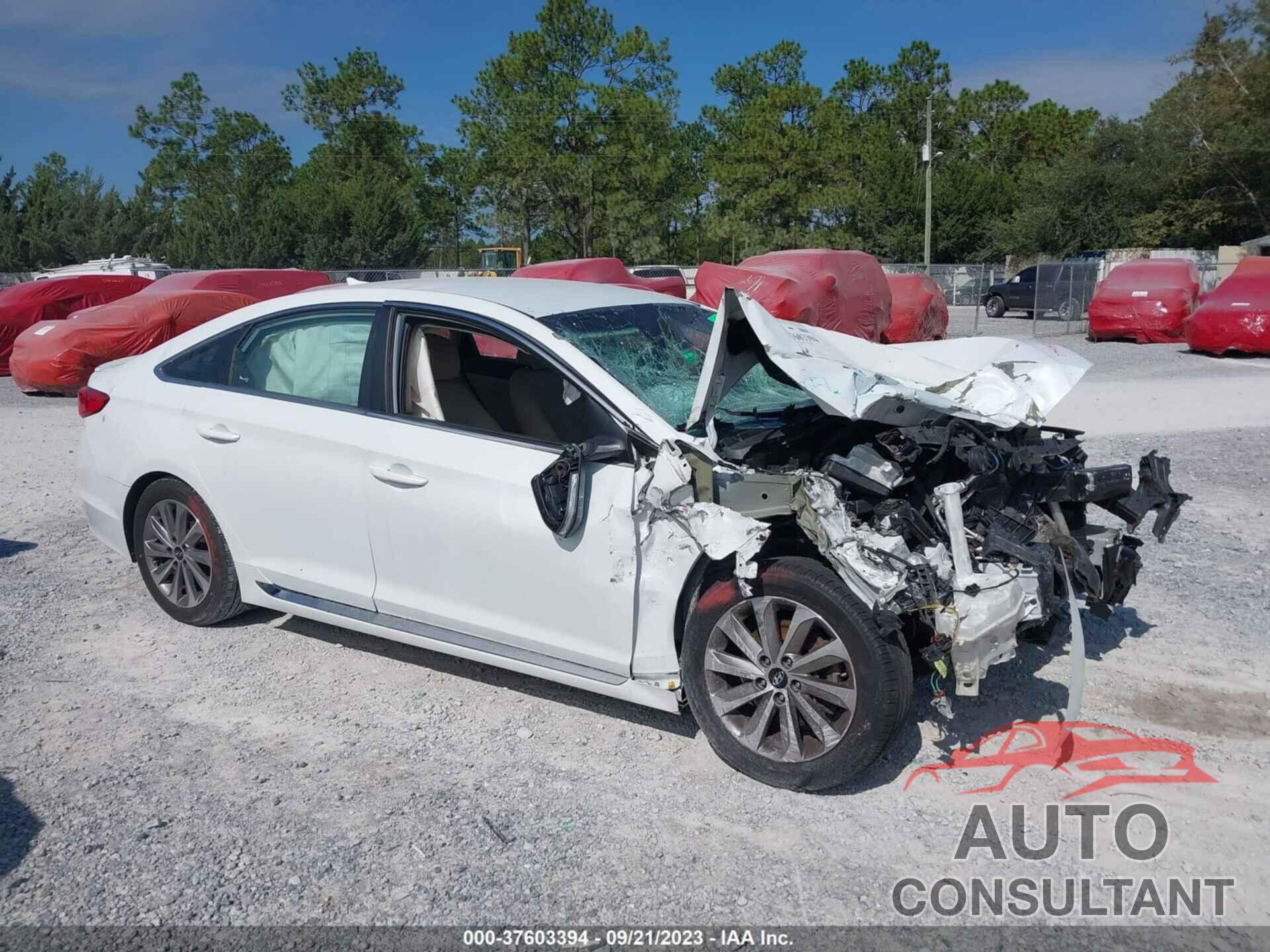 HYUNDAI SONATA 2016 - 5NPE34AFXGH342124