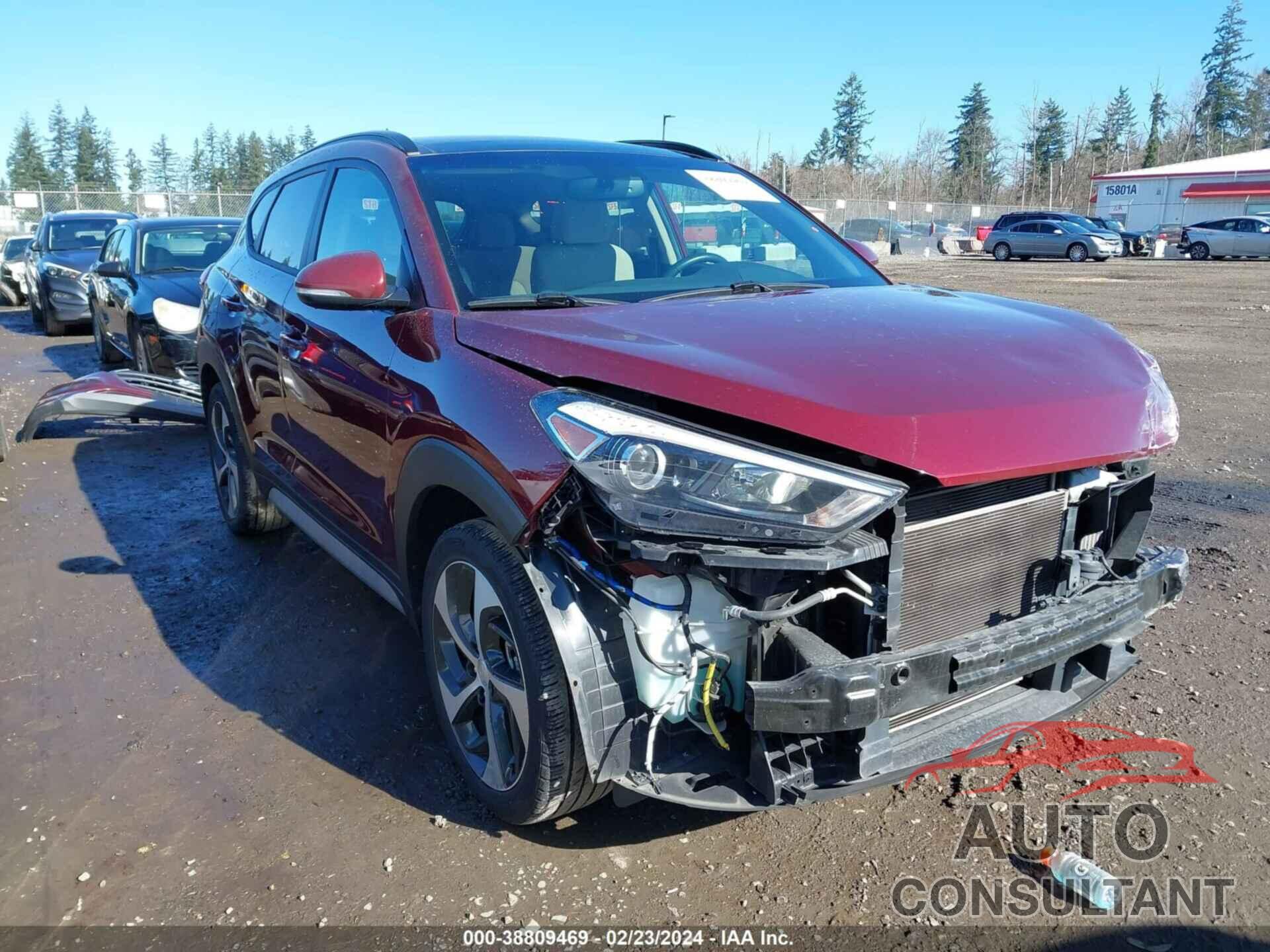 HYUNDAI TUCSON 2017 - KM8J3CA29HU550035