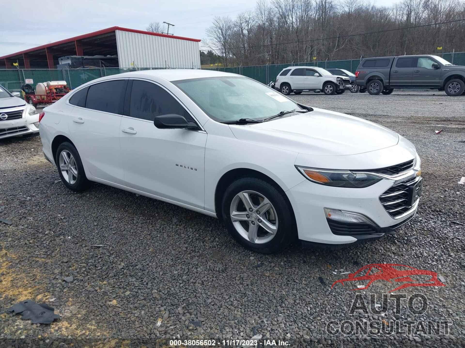 CHEVROLET MALIBU 2019 - 1G1ZB5ST0KF216462