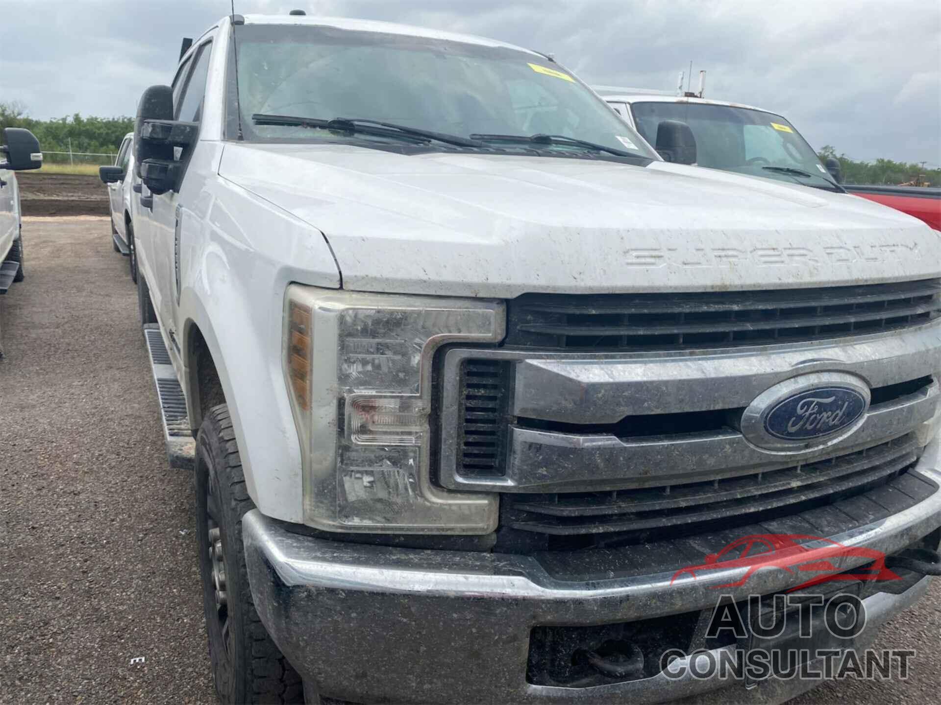 FORD F250 2019 - 1FT7W2BT5KED27323