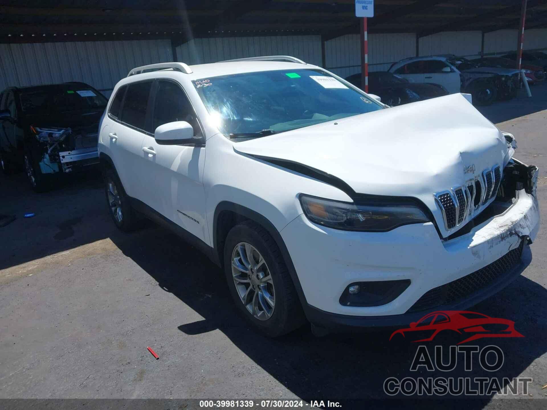 JEEP CHEROKEE 2019 - 1C4PJLLB6KD204114