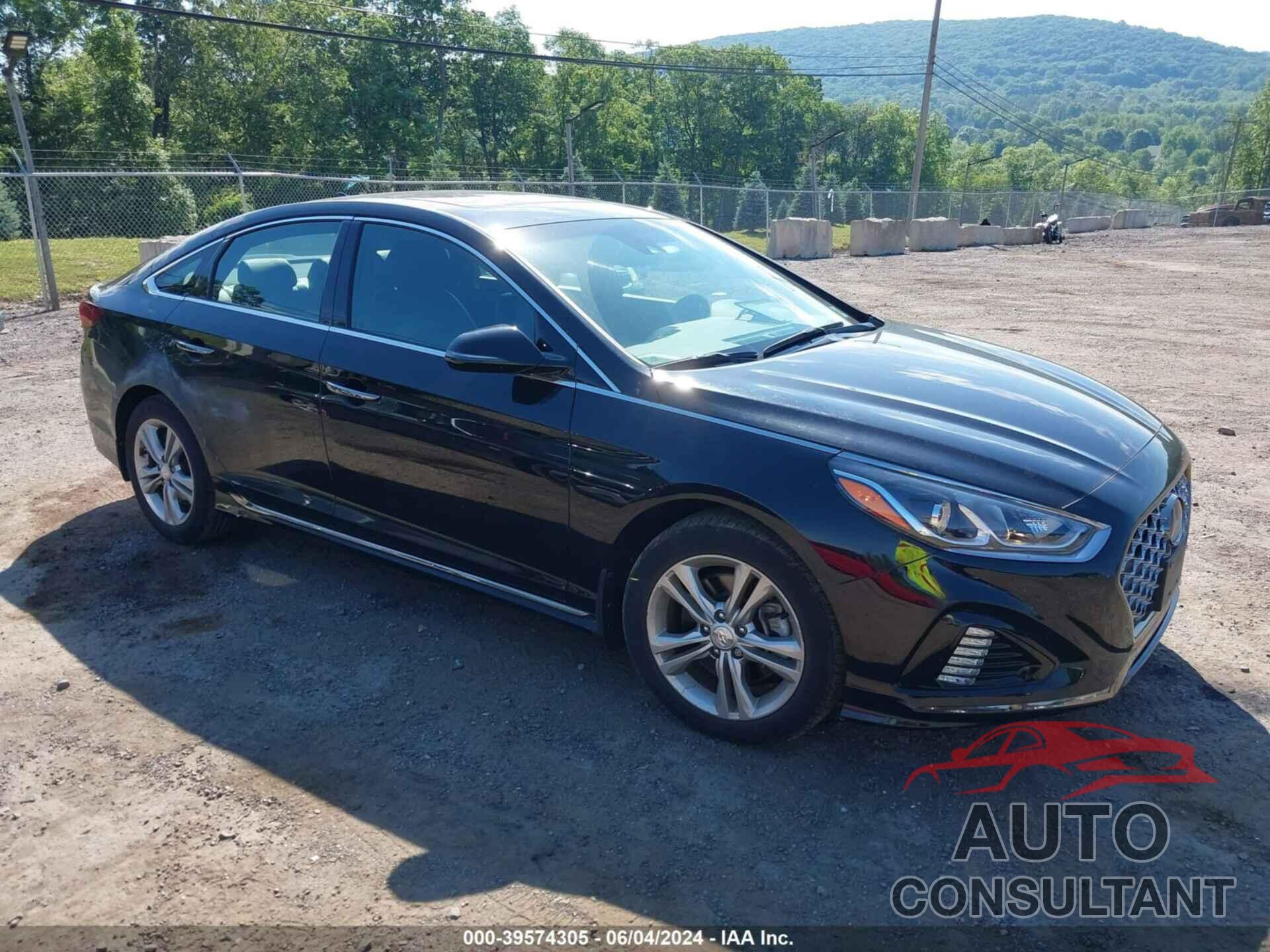 HYUNDAI SONATA 2019 - 5NPE34AF8KH791519
