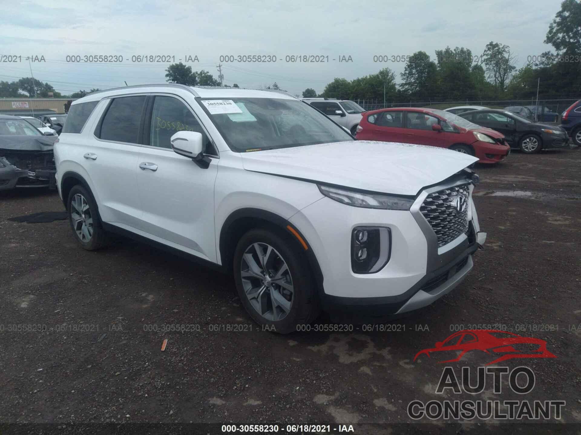 HYUNDAI PALISADE 2020 - KM8R44HE3LU077196