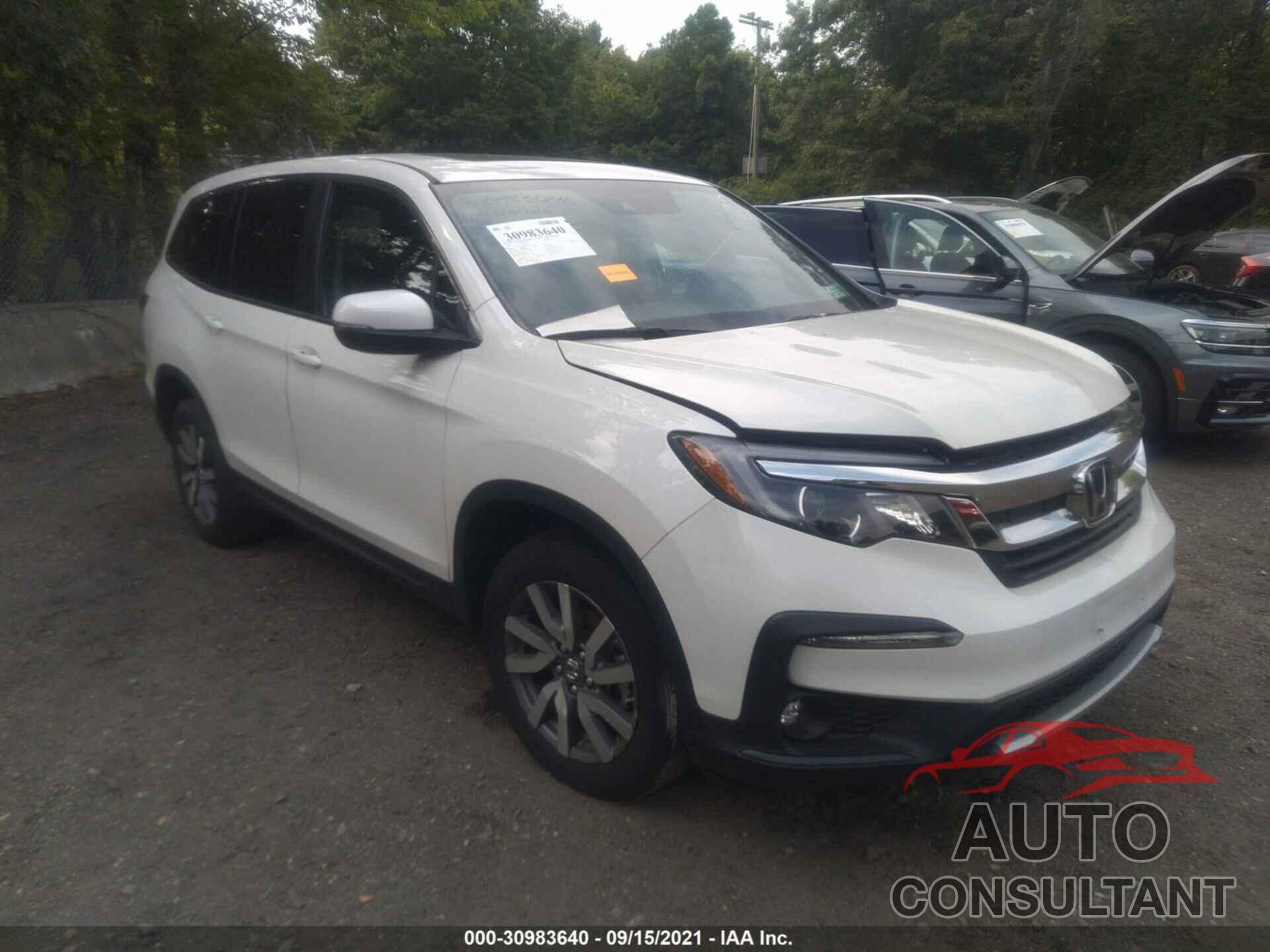 HONDA PILOT 2019 - 5FNYF6H59KB063901