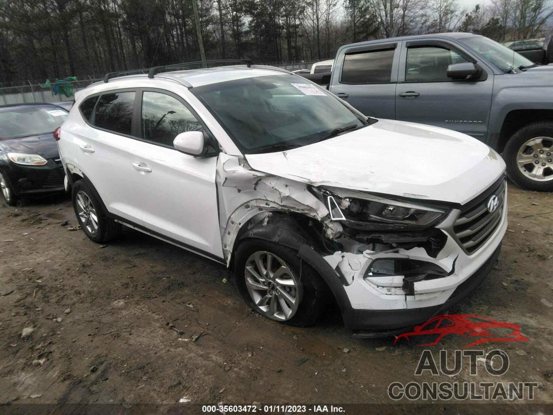 HYUNDAI TUCSON 2017 - KM8J33A44HU506946