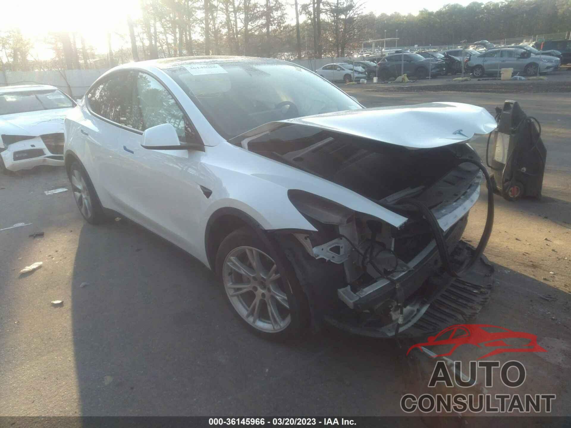 TESLA MODEL Y 2021 - 5YJYGDEE8MF068046