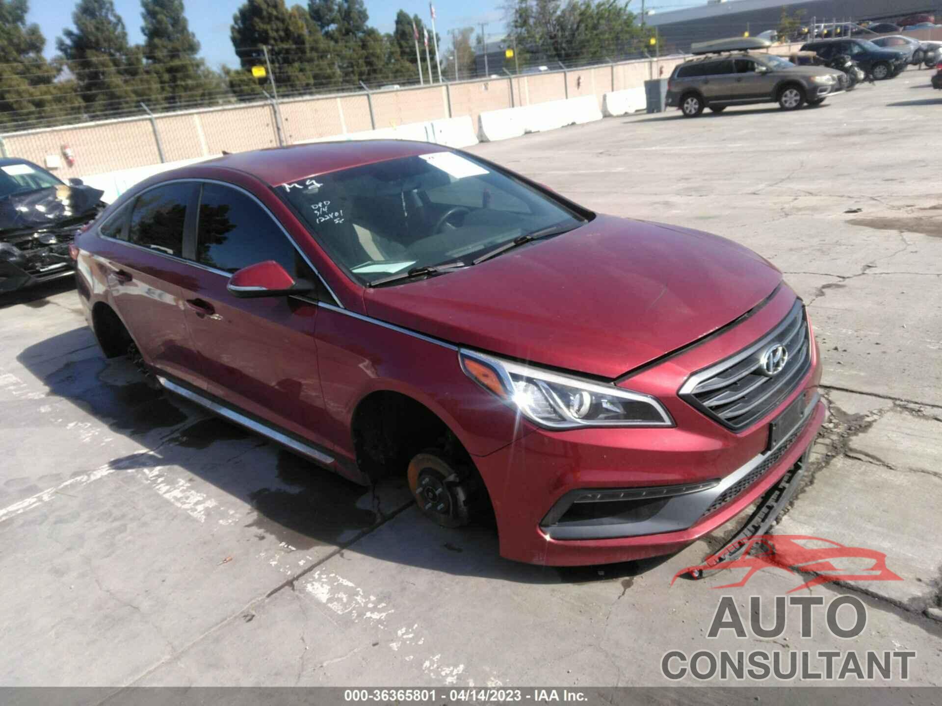 HYUNDAI SONATA 2016 - 5NPE34AF0GH331388